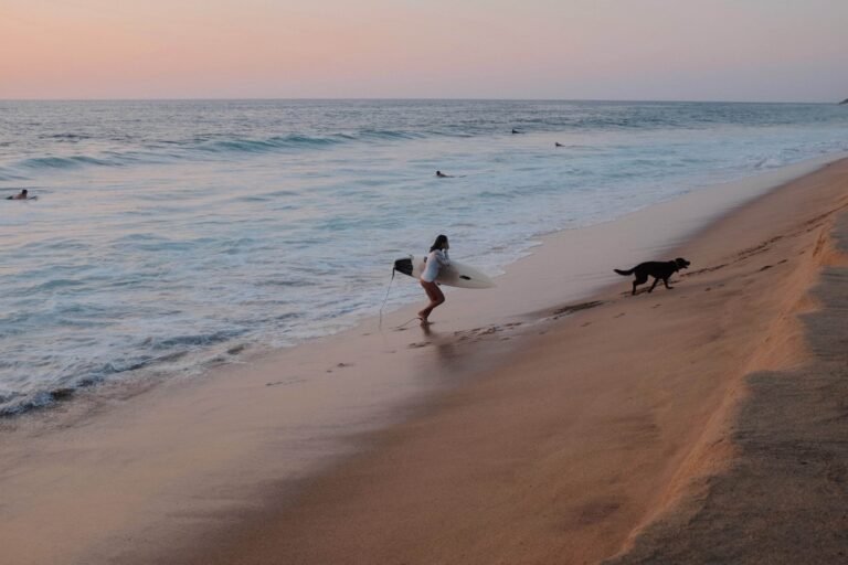 Surfing in Nayarit