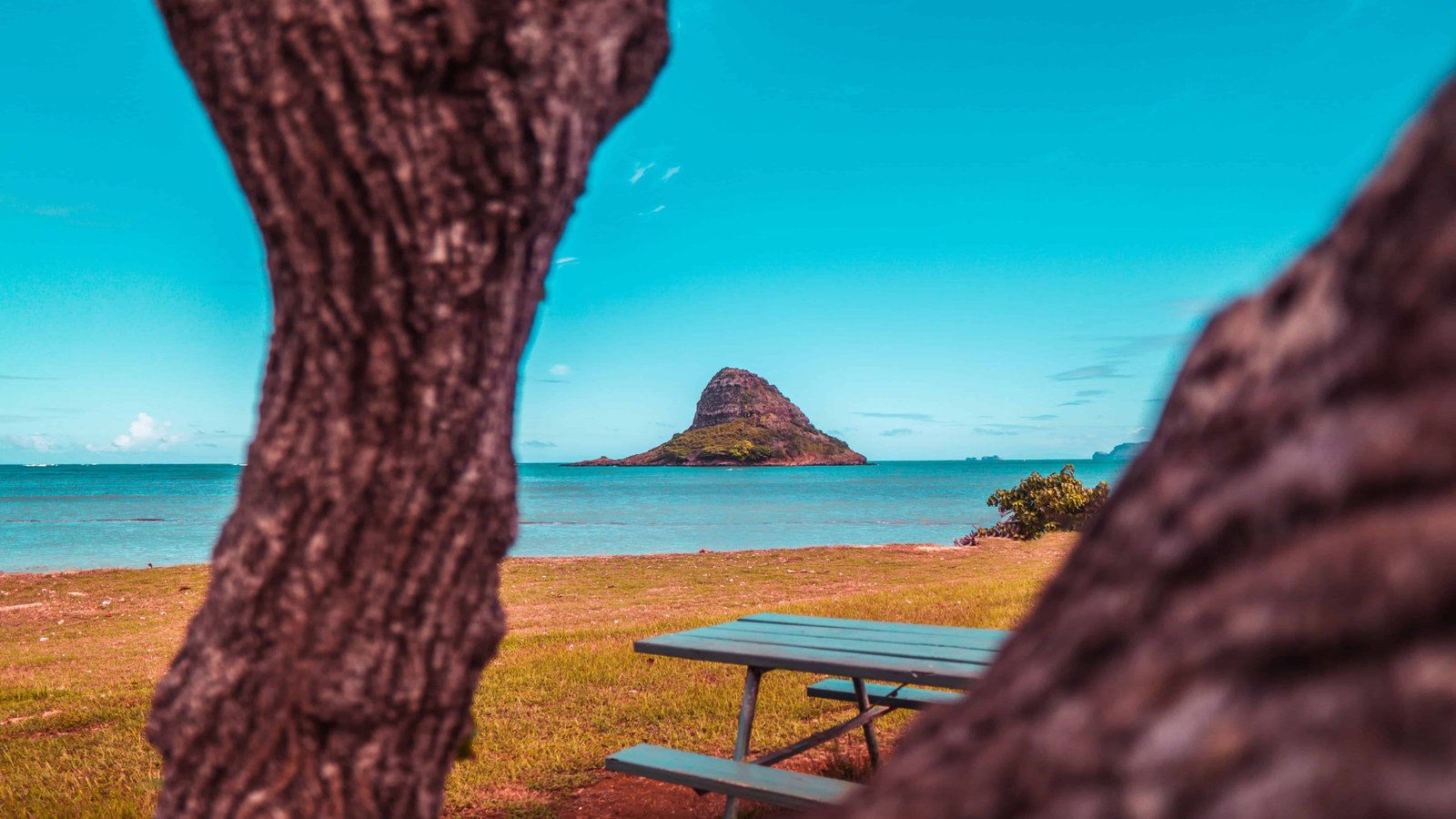 Sunrise Oahu: 12 TOP Locations For You To Watch 19 Kualoa Regional Park