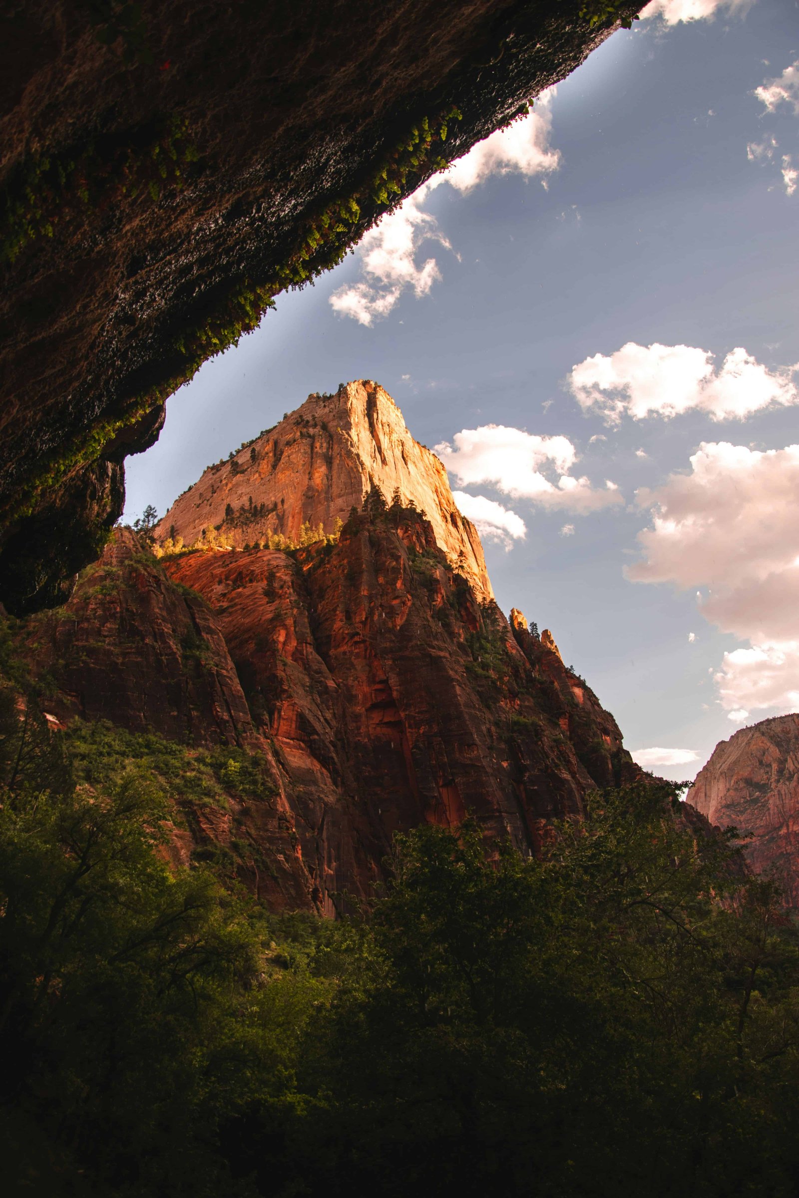 Zion National Park Caves: What Caves Are Worth A Visit (2026)? 9 Zion National Park Caves