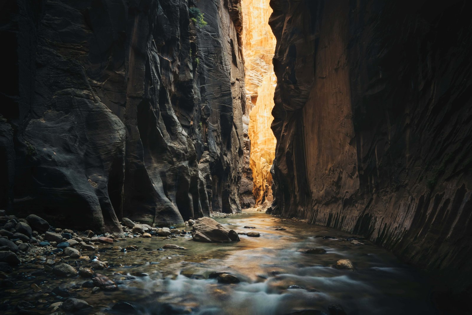 Zion National Park Caves: What Caves Are Worth A Visit (2026)? 4 The Narrows