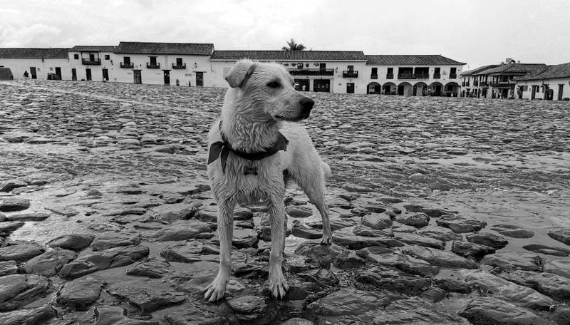 Villa De Leyva: How To Fill Two Days in the Colonial Village? 4 Villa de Leyva Plaza Mayor