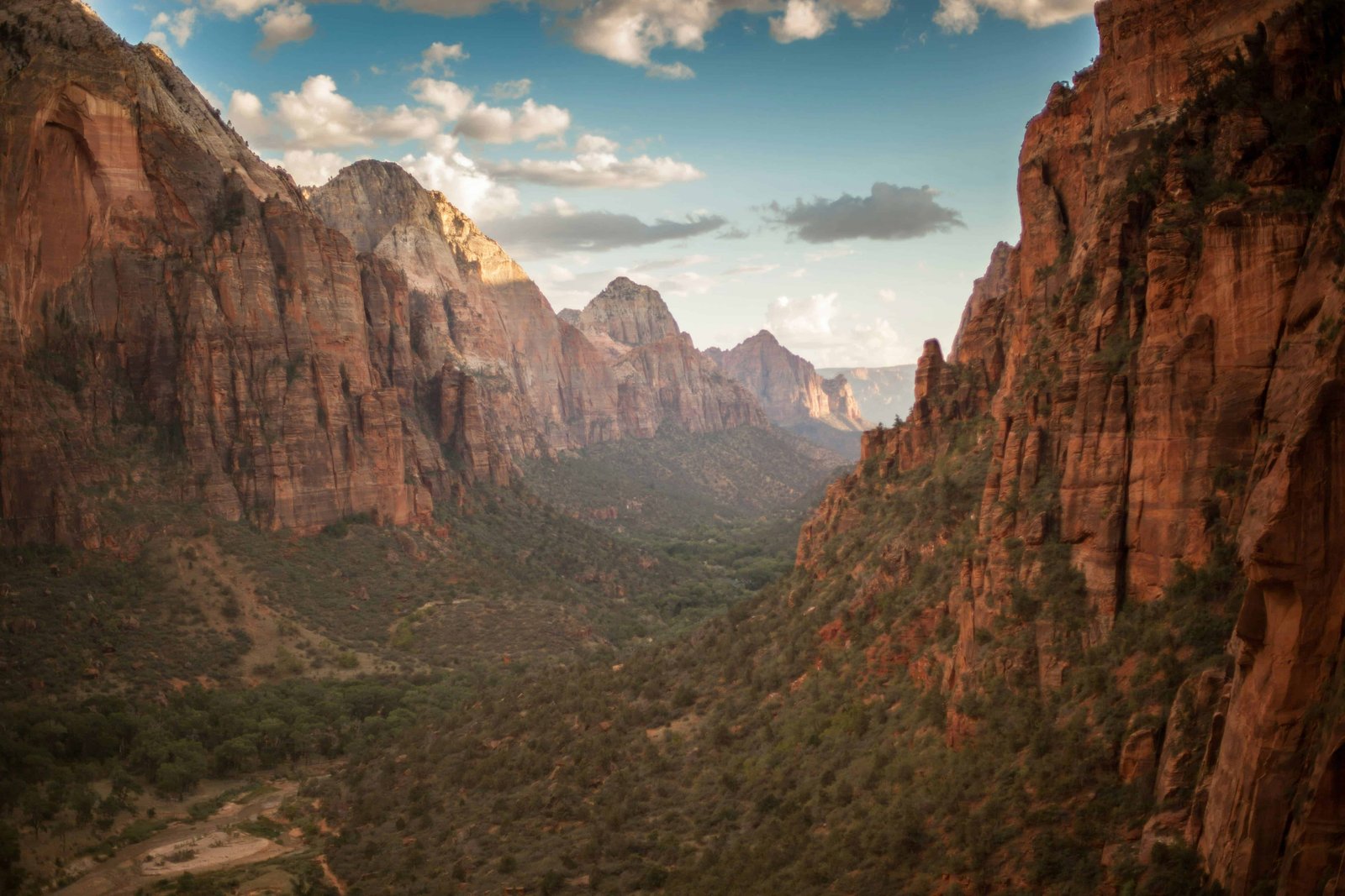 Zion National Park Caves: What Caves Are Worth A Visit (2026)? 7 Zion National Park Caves