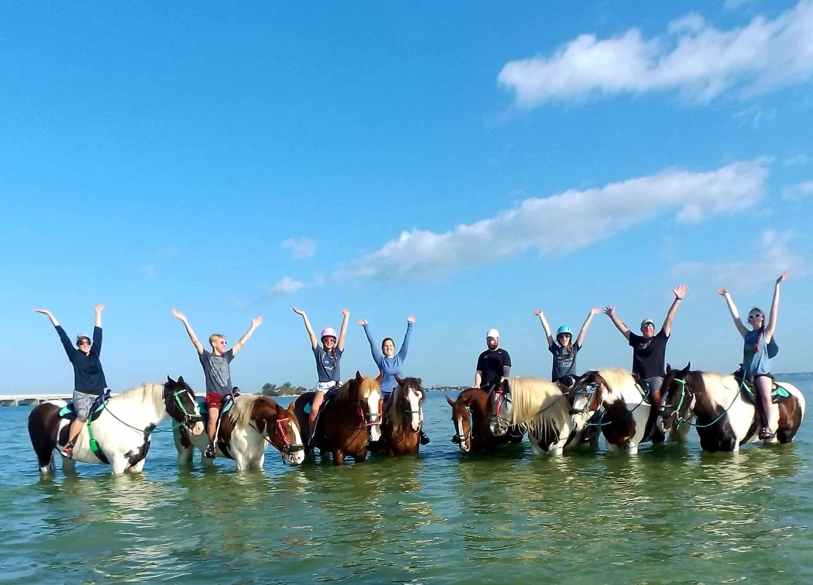 Ultimate Guide to Anna Maria Island Beach (in 2026) 12 Horseriding with C Ponies