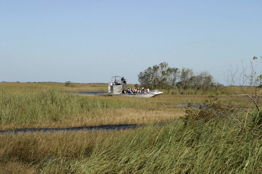 Everglades, Florida Guide: National Park vs Francis S. Taylor Management Area (What to Choose) 6 Airboat tour in the everglades