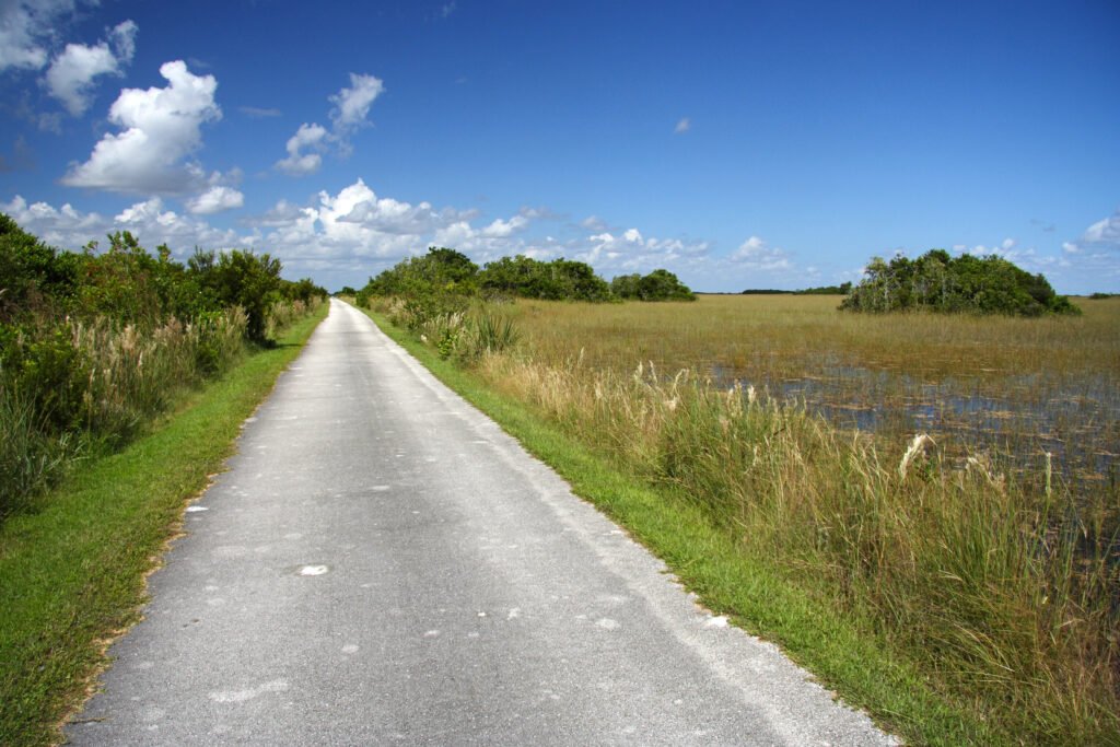 Everglades, Florida Guide: National Park vs Francis S. Taylor Management Area (What to Choose) 18 A biking road at the Francis S. Taylor Wildlife Management Area