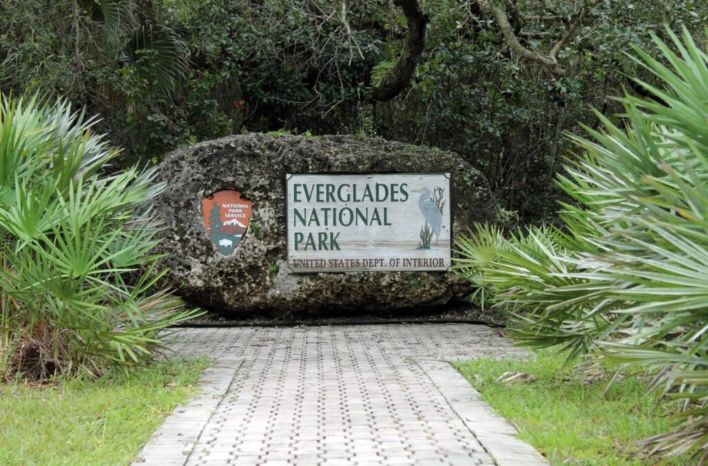 Everglades, Florida Guide: National Park vs Francis S. Taylor Management Area (What to Choose) 15 Everglades national Park itinerary