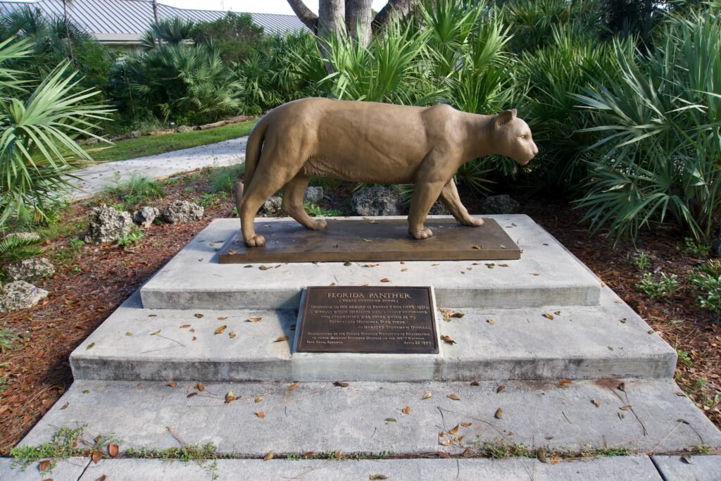 Everglades, Florida Guide: National Park vs Francis S. Taylor Management Area (What to Choose) 21 Florida panther statue