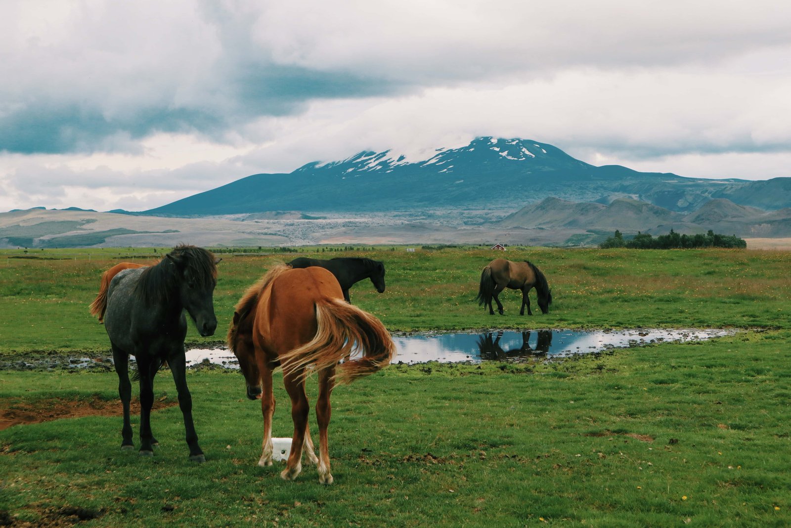 Complete Guide to the 9 Best Iceland Volcanoes (in 2026) 7 Iceland Volcanoes