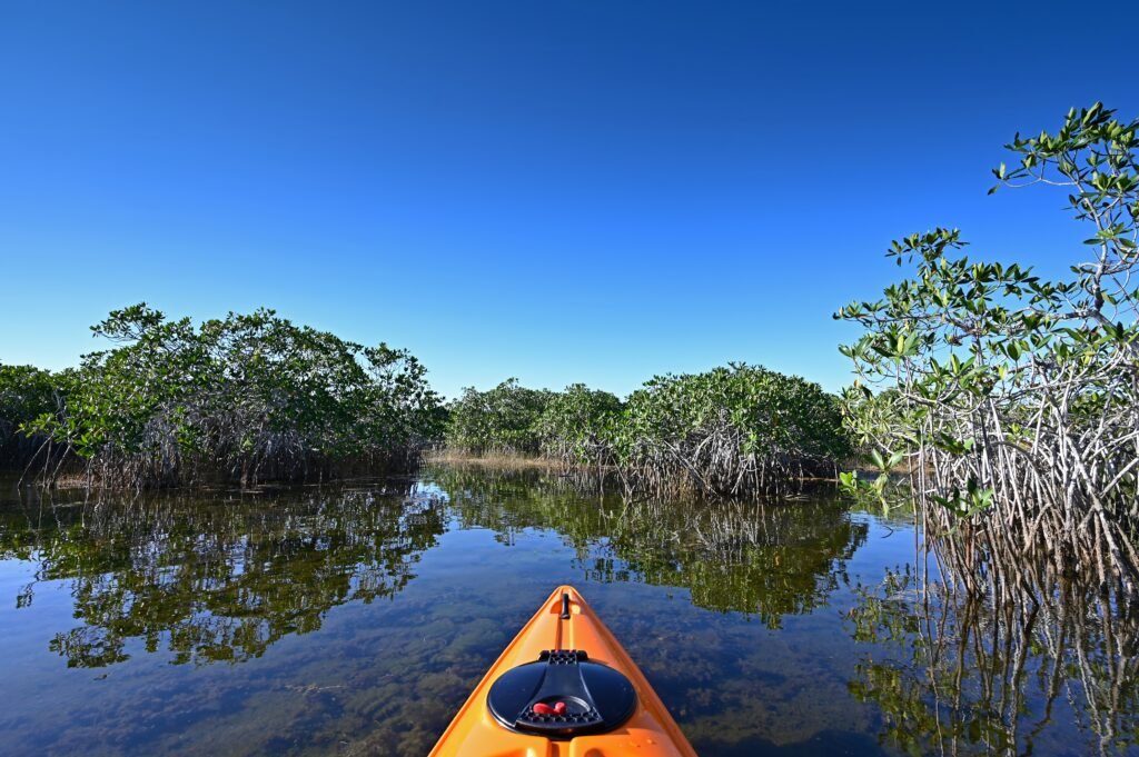 Everglades, Florida Guide: National Park vs Francis S. Taylor Management Area (What to Choose) 12 Orange kayak on Nine Mile Pond in Everglades National Park, Florida on sunny autumn afternoon amidst red mangroves trees.