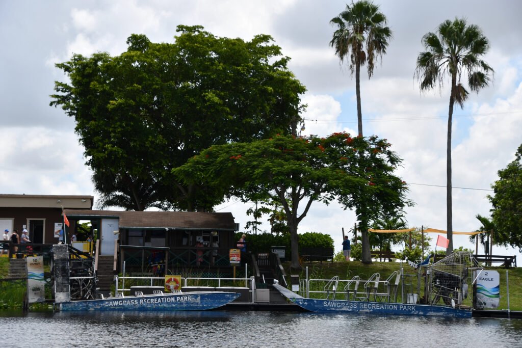 Everglades, Florida Guide: National Park vs Francis S. Taylor Management Area (What to Choose) 24 Sawgrass Recreation Park