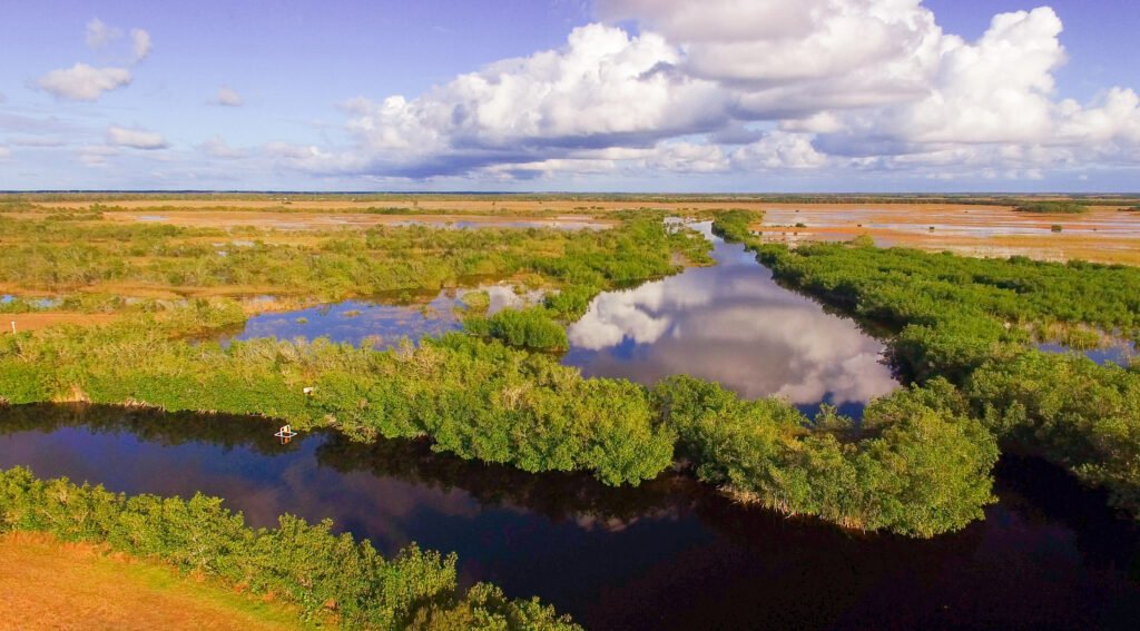Everglades, Florida Guide: National Park vs Francis S. Taylor Management Area (What to Choose) 19 Scenic view over the Everglades in Florida