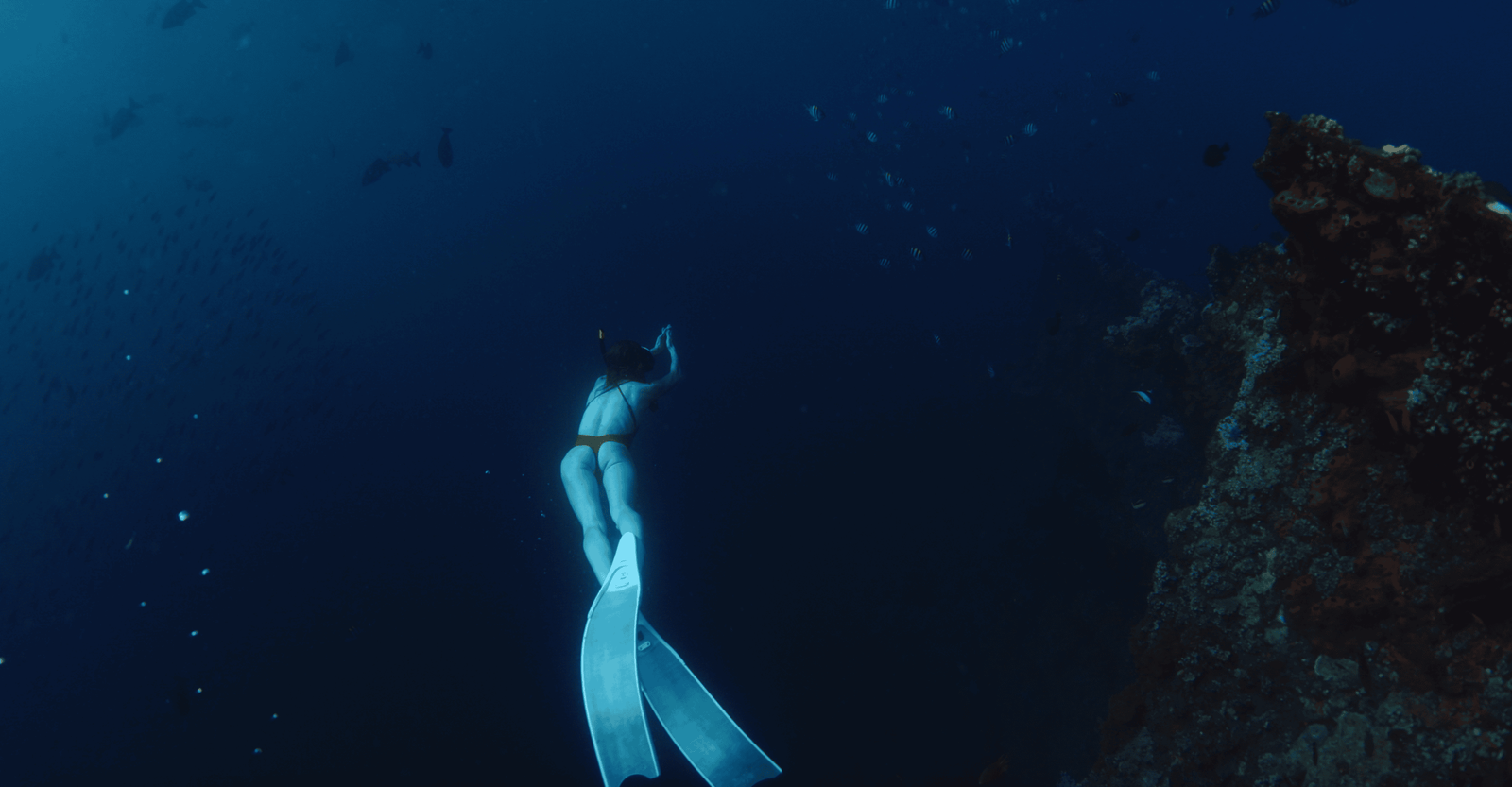 Top 25 Uluwatu Beaches (Complete guide) Bali 2026 20 Woman Freediving on Deep in Tropical Ocean Near Wreckship in Tulamben Bali