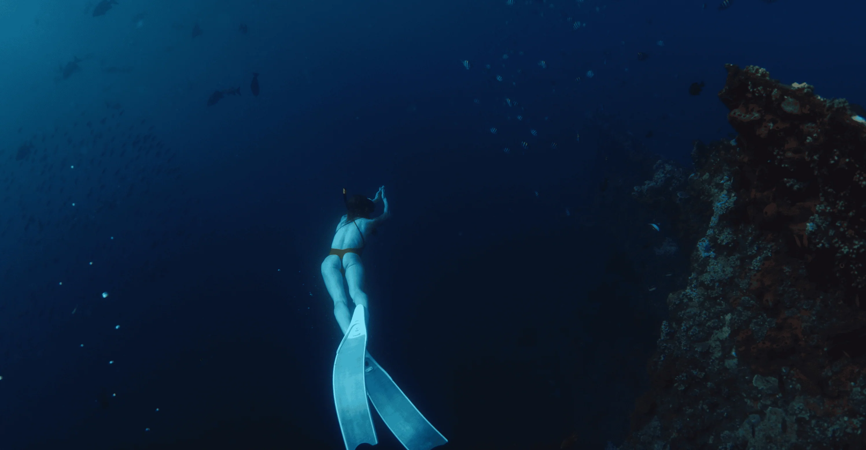 Woman Freediving on Deep in Tropical Ocean Near Wreckship in Tulamben Bali