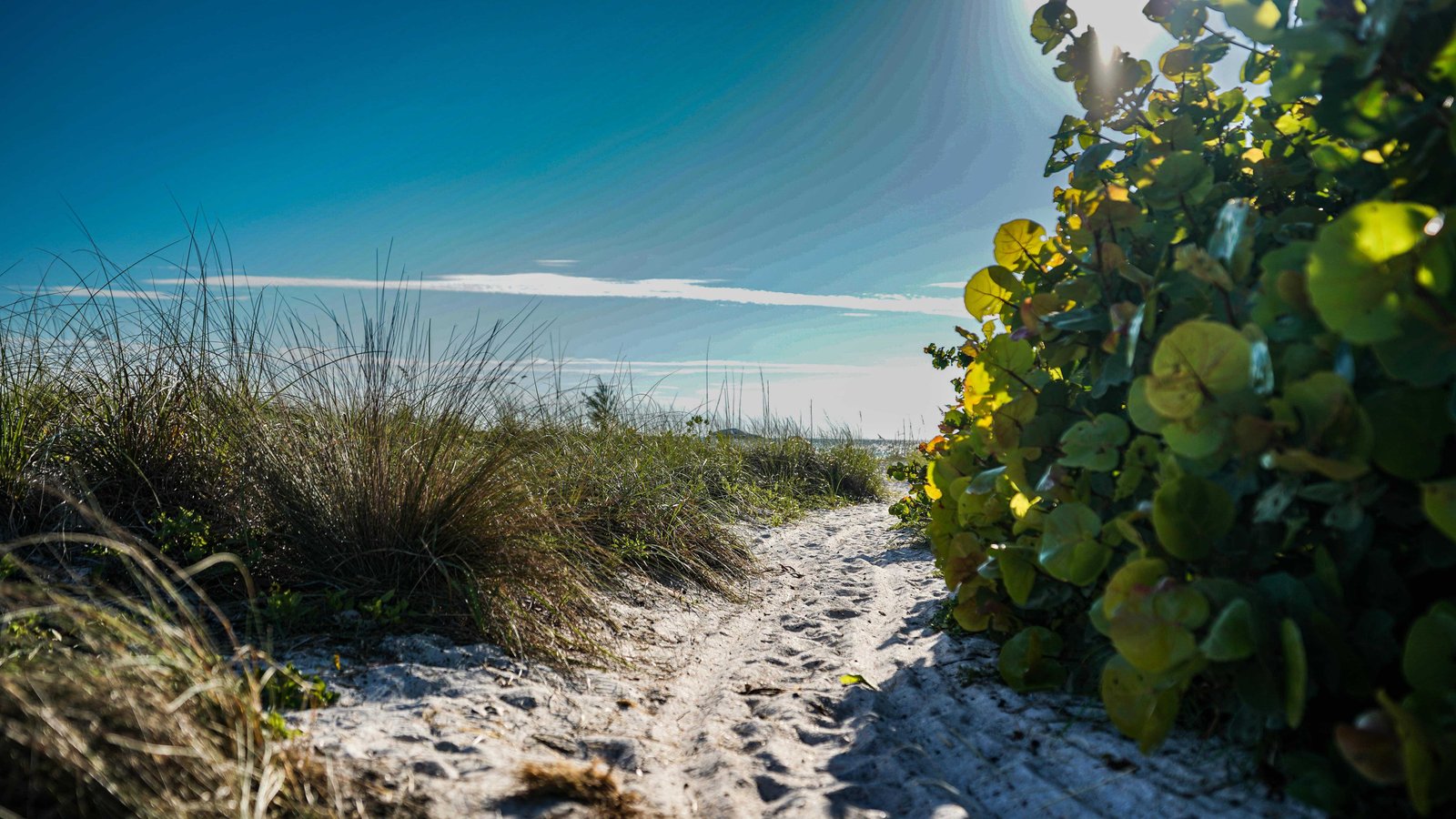 Ultimate Guide to Anna Maria Island Beach (in 2026) 8 Anna Maria Island beacgh