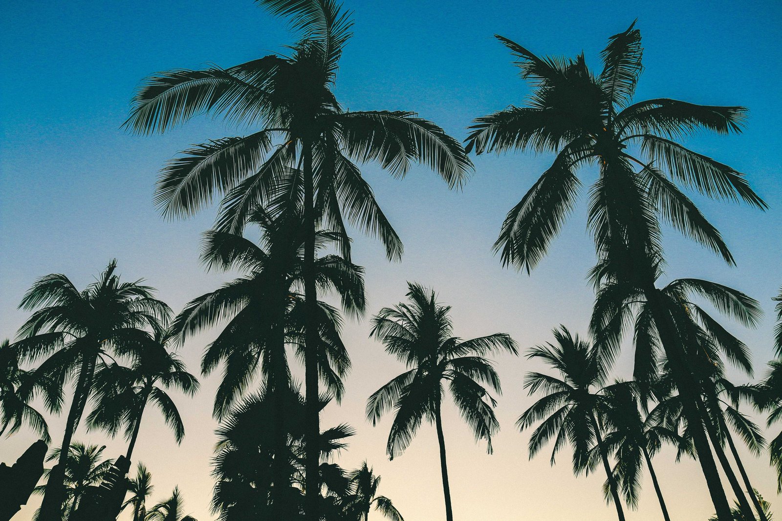 Sayulita Beaches: 2026 Guide to Riviera Nayarit’s Best Spots 10 Sayulita