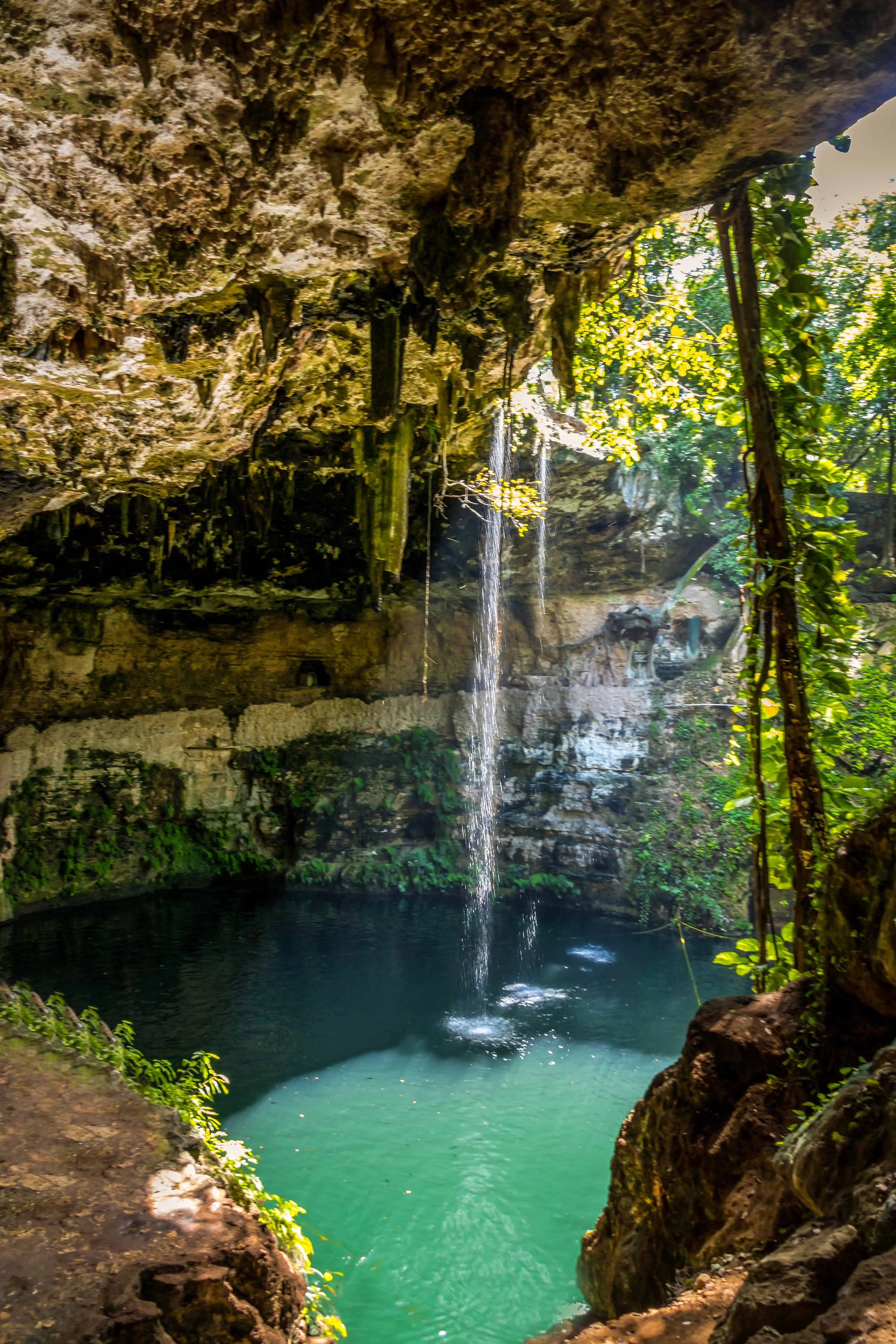 Cenote Zaci - Valladolid, Mexico