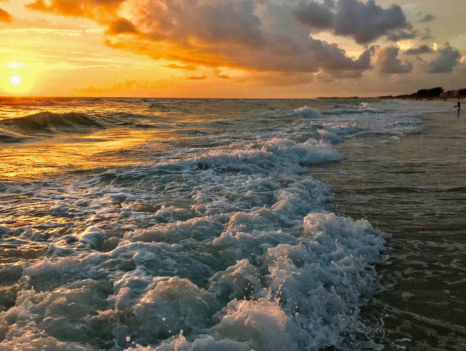 Ultimate Guide to Anna Maria Island Beach (in 2026) 18