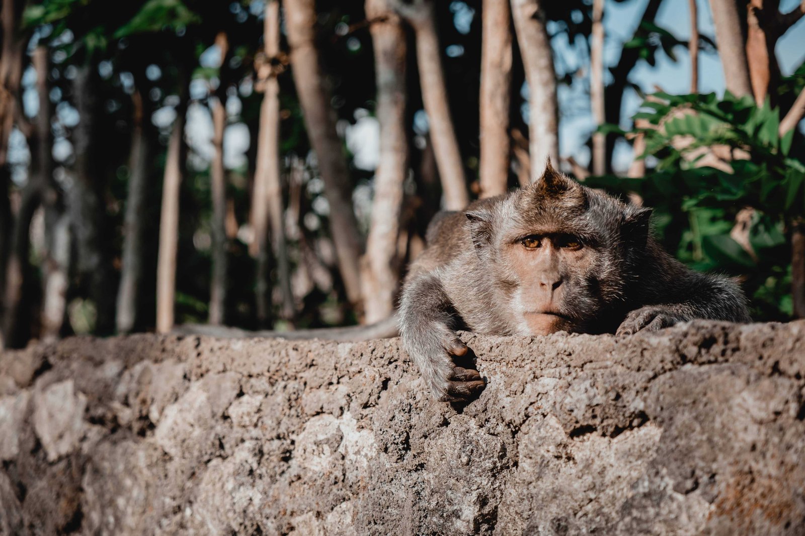 Uluwatu Bali: 39 BEST Things You Need To Know - FAQ (2026) 26