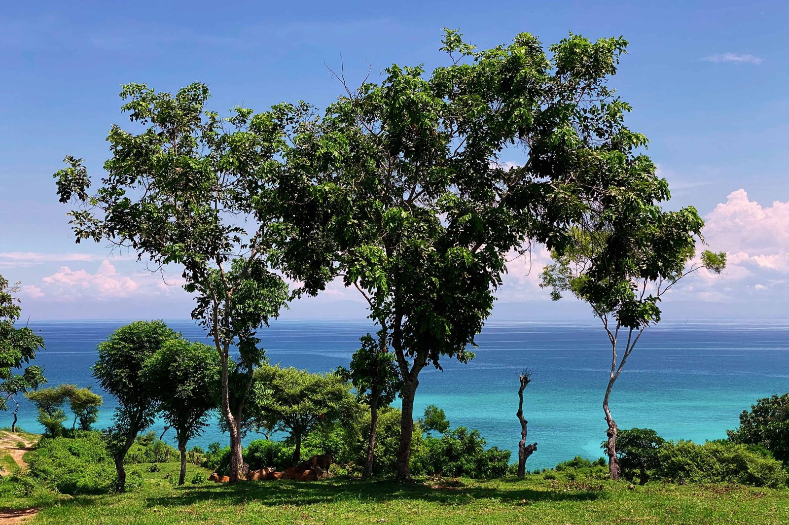 Uluwatu Bali: 39 BEST Things You Need To Know - FAQ (2026) 24