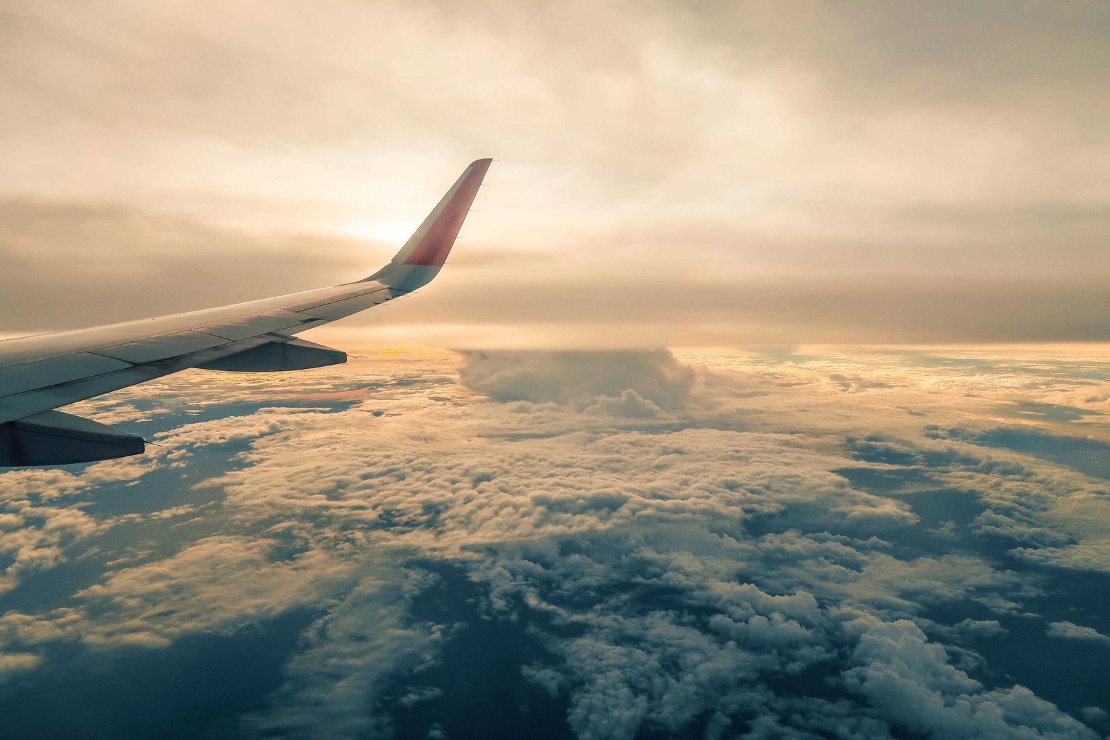 What Should You Do If Your Flight Is Cancelled? 2 Flight cancellation