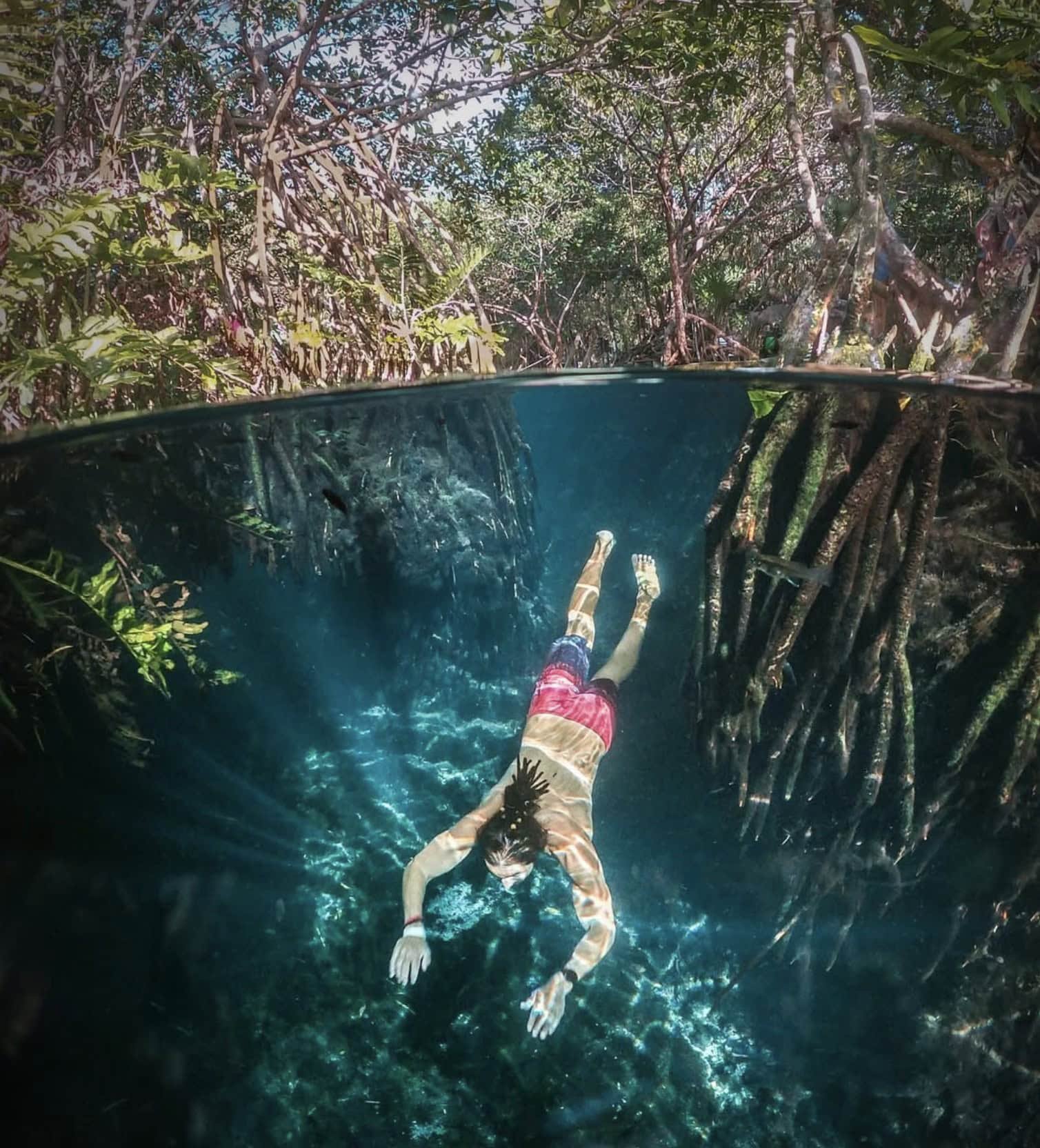 Cenote Cristalino: Full Guide (is it worth it in 2026?) 4 man diving into cenote cristalino