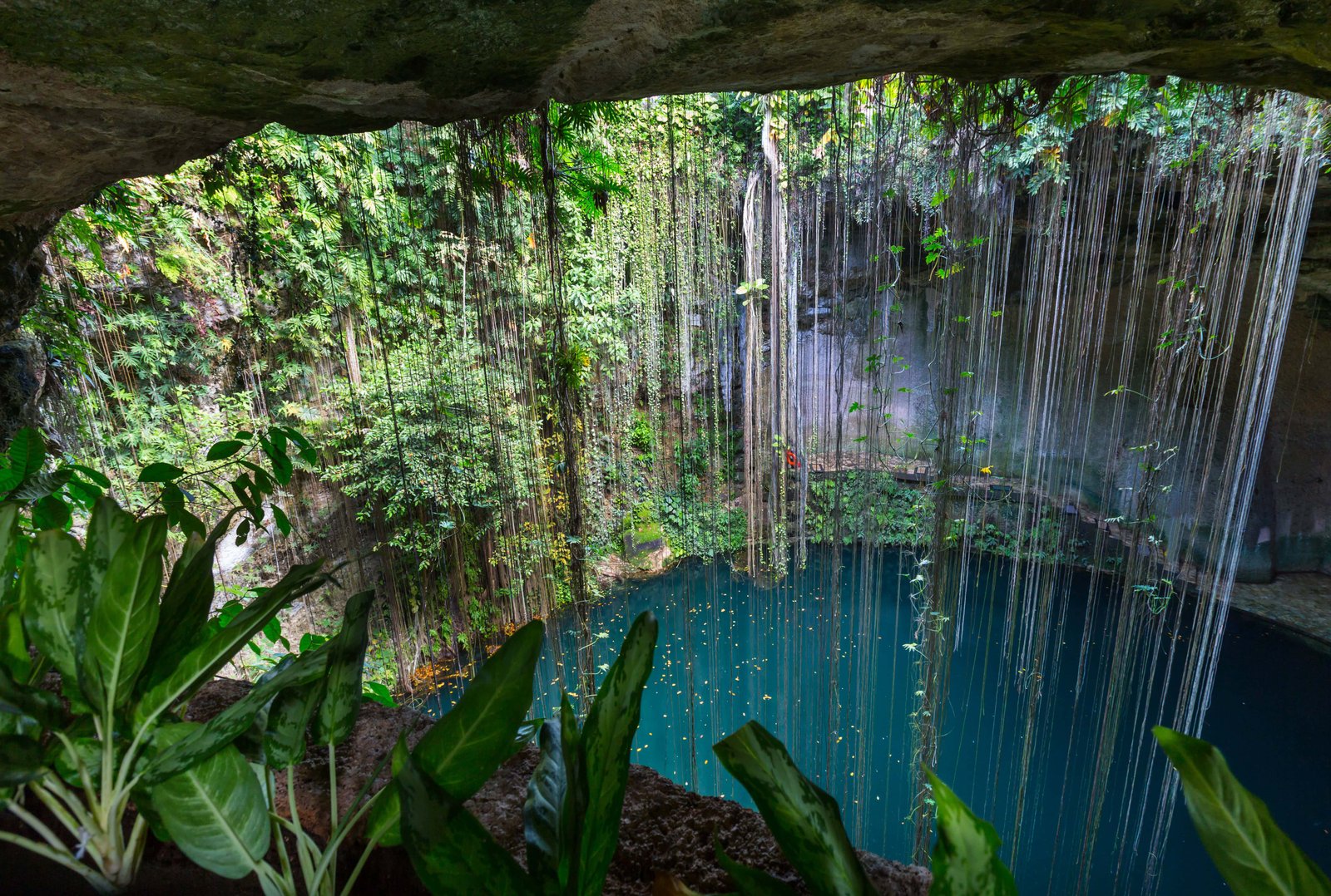 The AMAZING Cenote Ik Kil: Definitive Guide (2026 Edition) 4 Unusual natural tropical landscapes - Ik-Kil Cenote, Mexico
