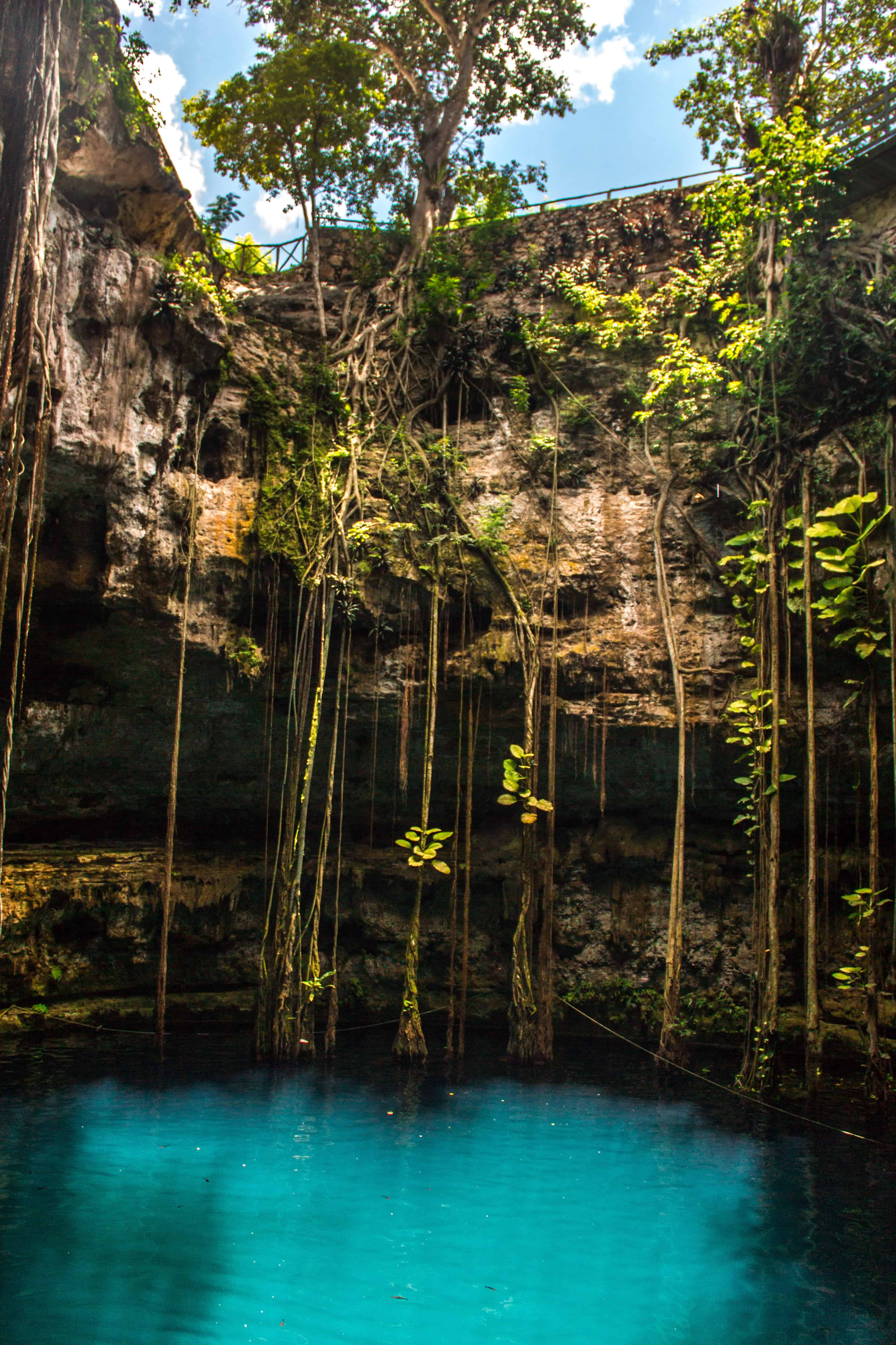 The AMAZING Cenote Ik Kil: Definitive Guide (2026 Edition) 7 Cenote Ik Kil Yucatan