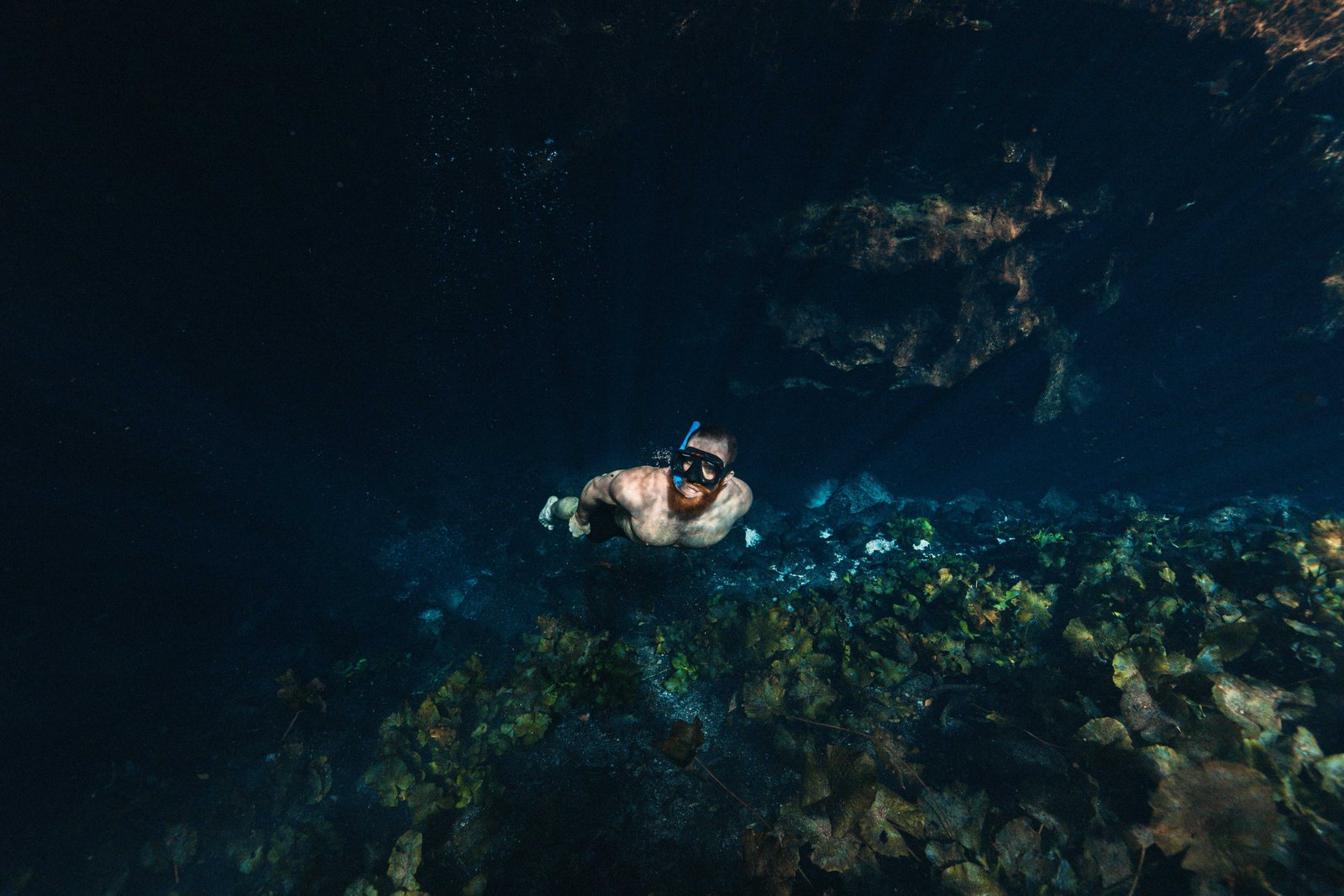 Visiting Cenote Saamal in 2026? Read This First 4 cenote snorkelling