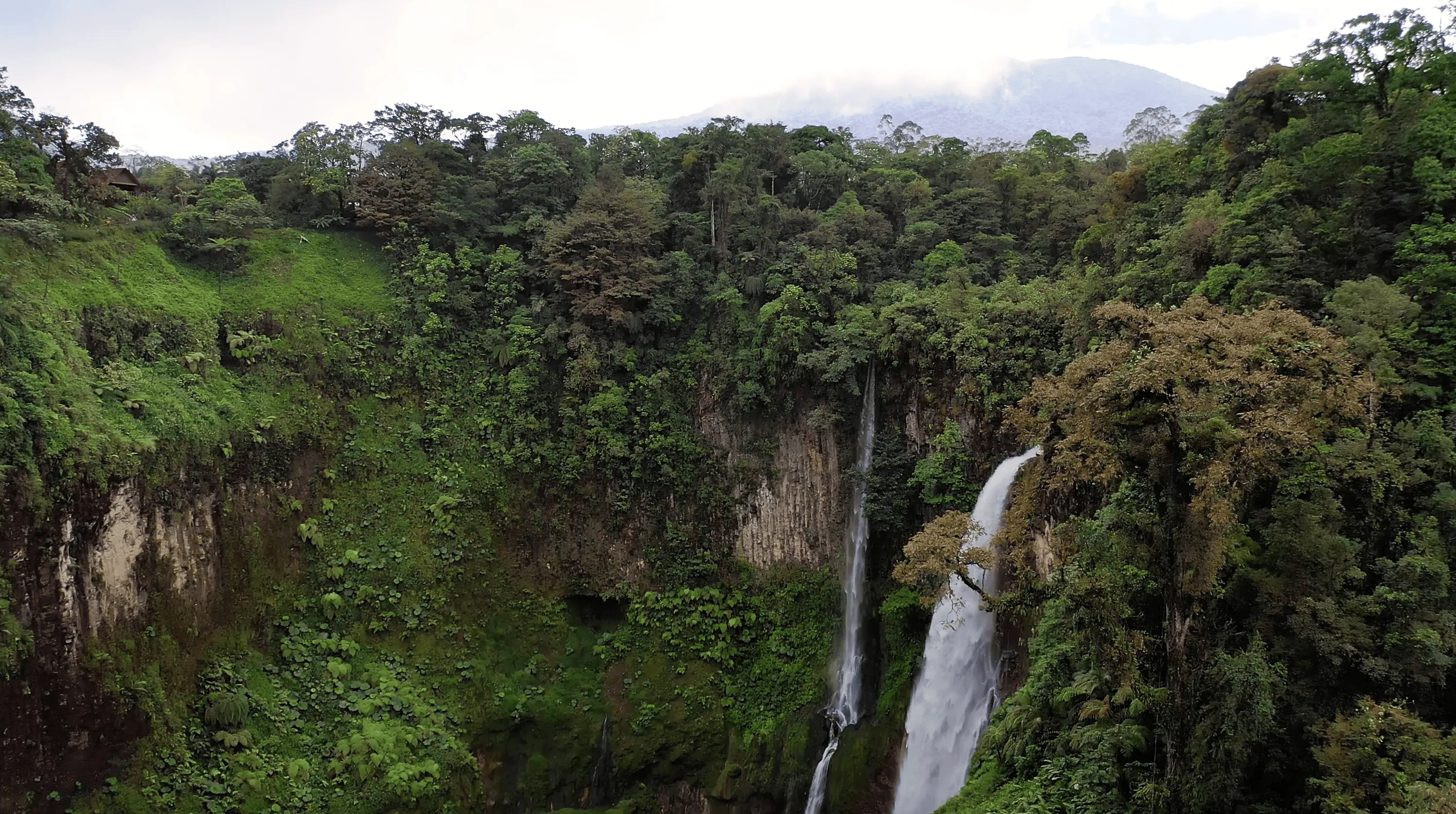 Distant view of the dramatic Bajos del Toro waterfalls, framed by dense greenery and steep cliff walls in Costa Rica’s cloud forest.