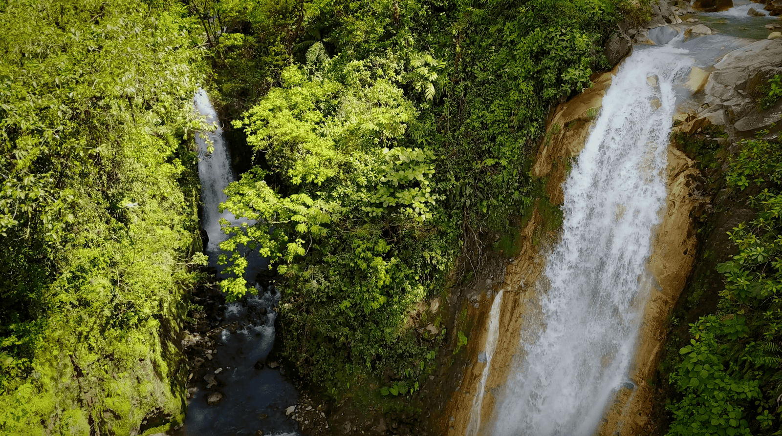 Bajos del Toro: A Full Guide to Costa Rica's Hidden Gem | 2026 5 Twin waterfalls in Bajos del Toro, Costa Rica, one powerfully plunging over rocky cliffs while the other softly cascades through dense forest.