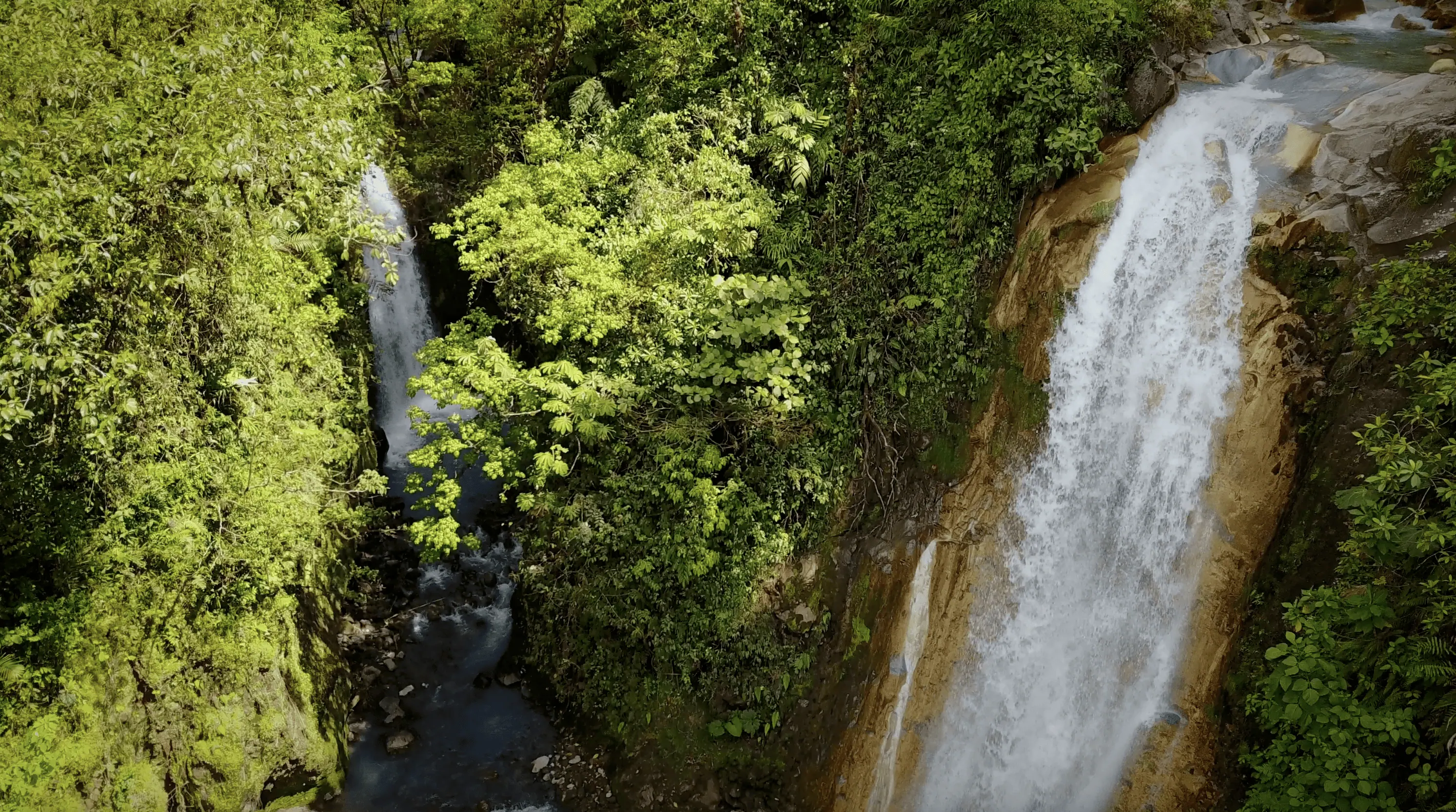 Twin waterfalls in Bajos del Toro, Costa Rica, one powerfully plunging over rocky cliffs while the other softly cascades through dense forest.