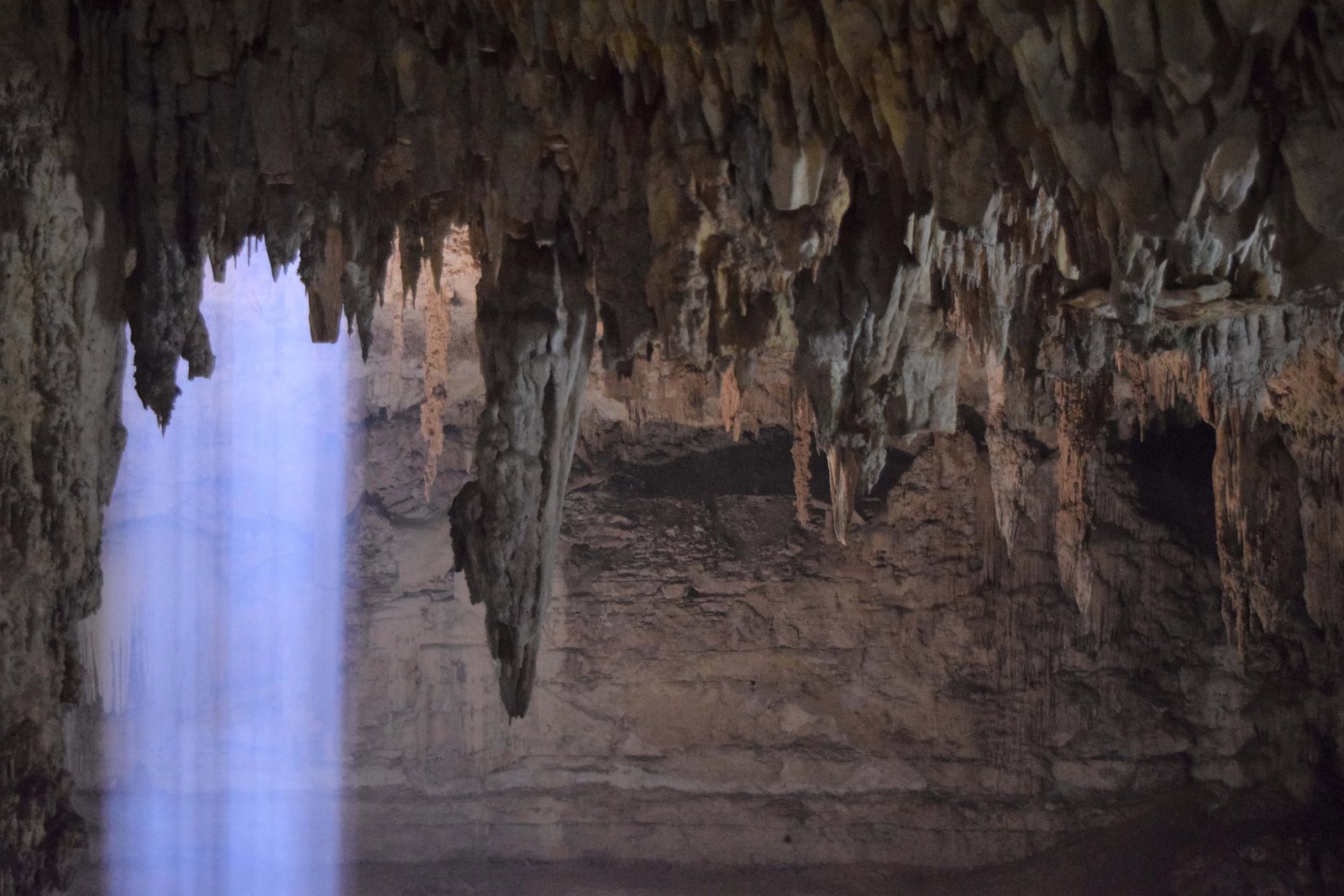 17 Best Tulum Cenotes To Visit in 2026 22 Cenote Suytun 2