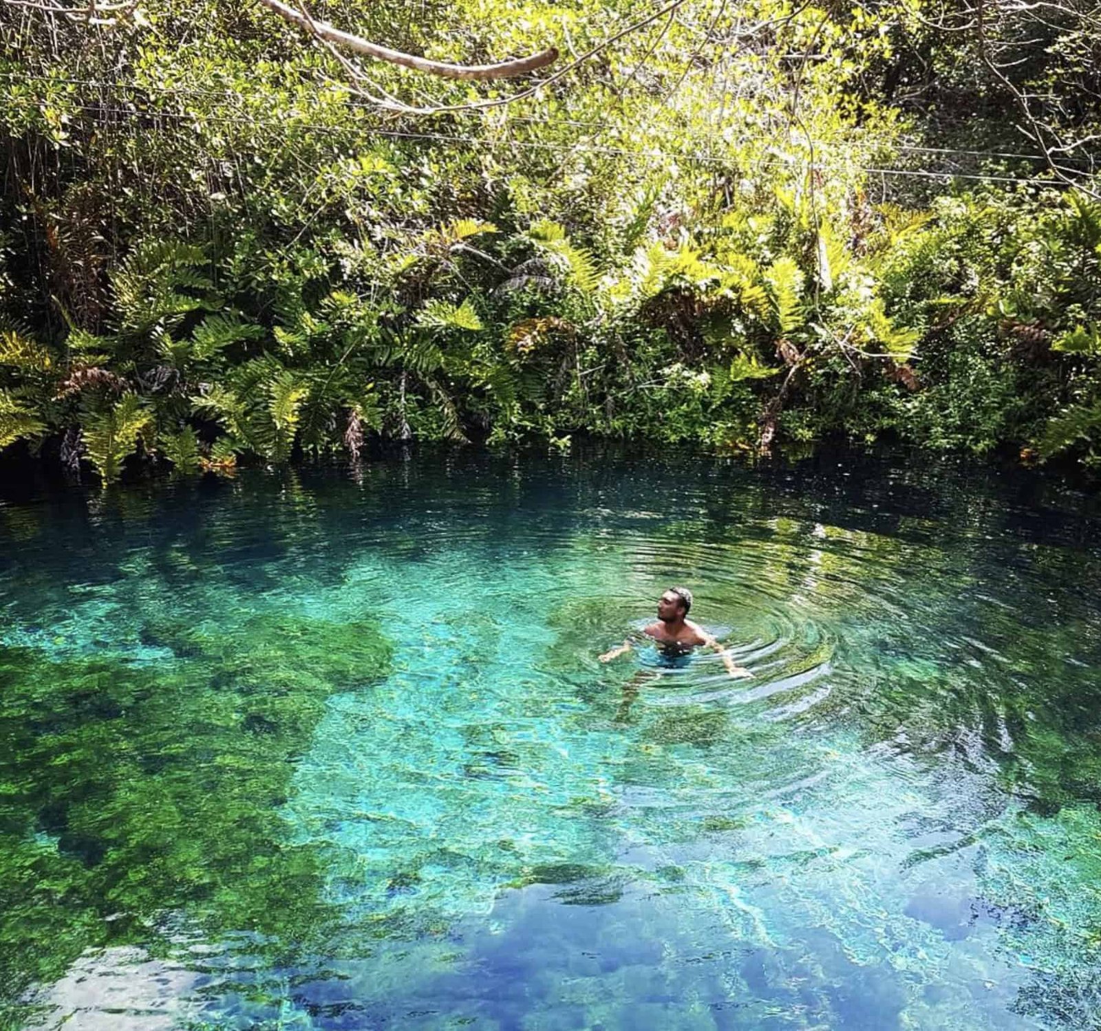 17 Best Tulum Cenotes To Visit in 2026 20 Cenote Xunaan-Ha