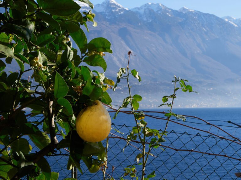 Limone sul garda view on lake garda