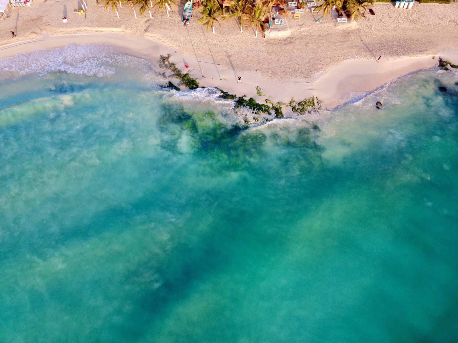 17 Best Tulum Cenotes To Visit in 2026 4 Playa del Carmen