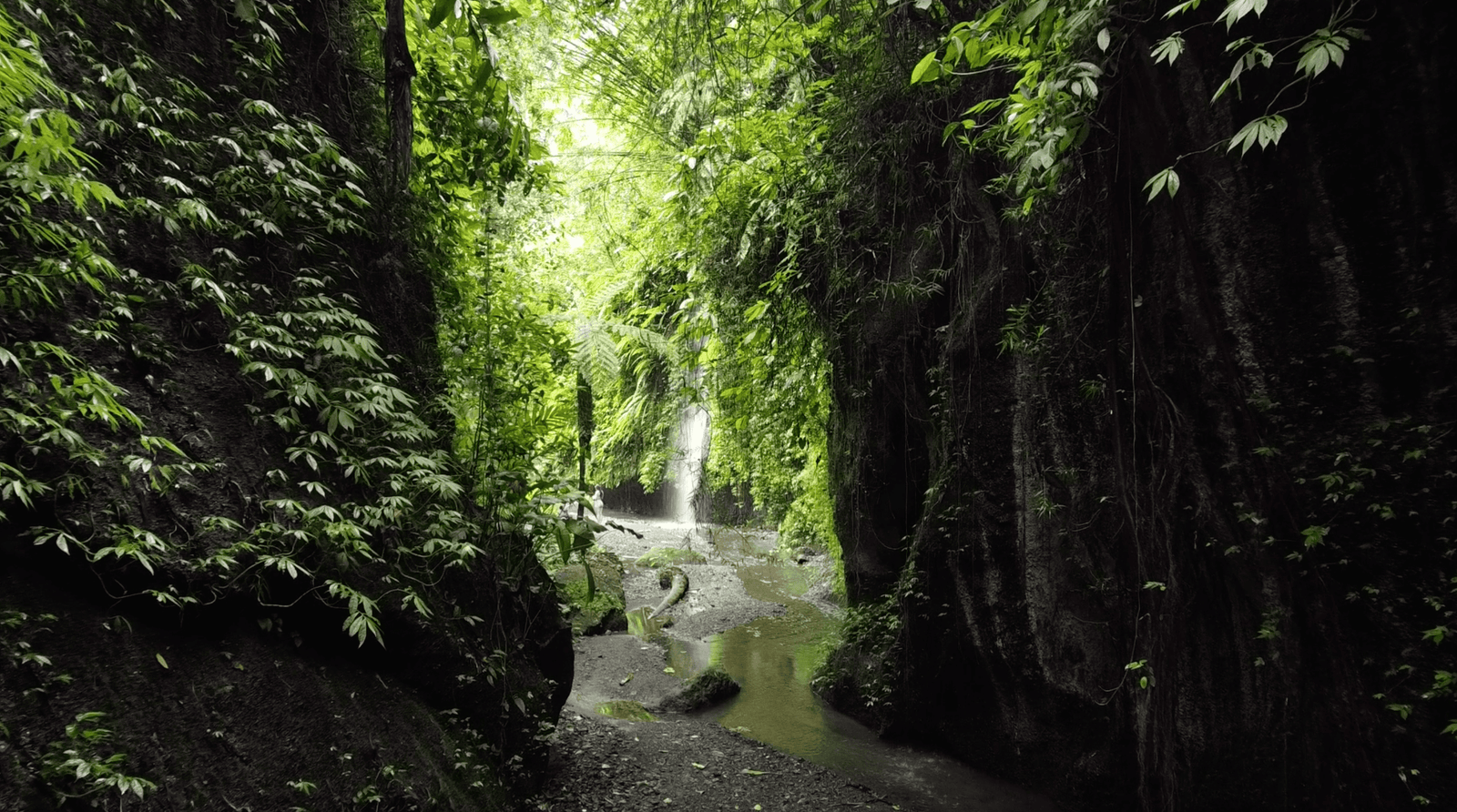 Tukad Cepung Waterfall: Why you MUST Go! (FULL Guide 2026) 8 Rays of light at Tukad Cepung Waterfall in Bali, Indonesia