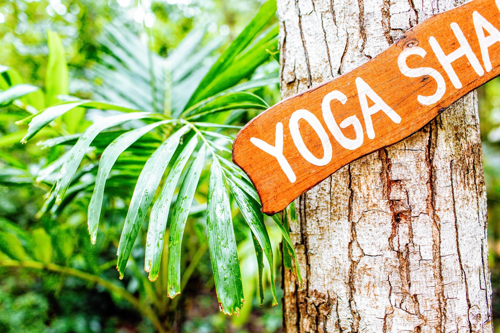17 Best Tulum Cenotes To Visit in 2026 5 Yoga Retreat in Tulum