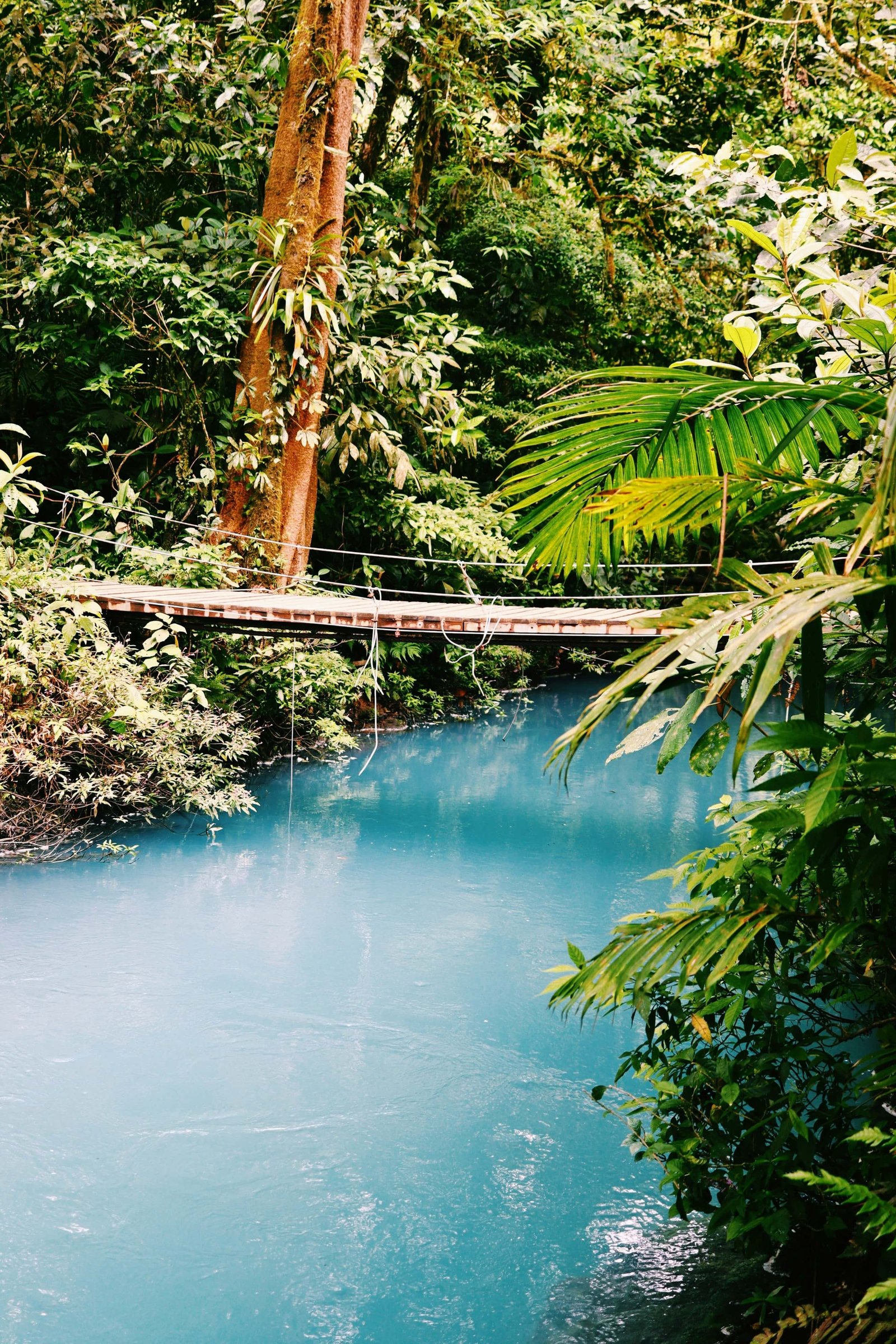 Rio Celeste Costa Rica: Full Guide (2026 Update) 3 Rio Celeste