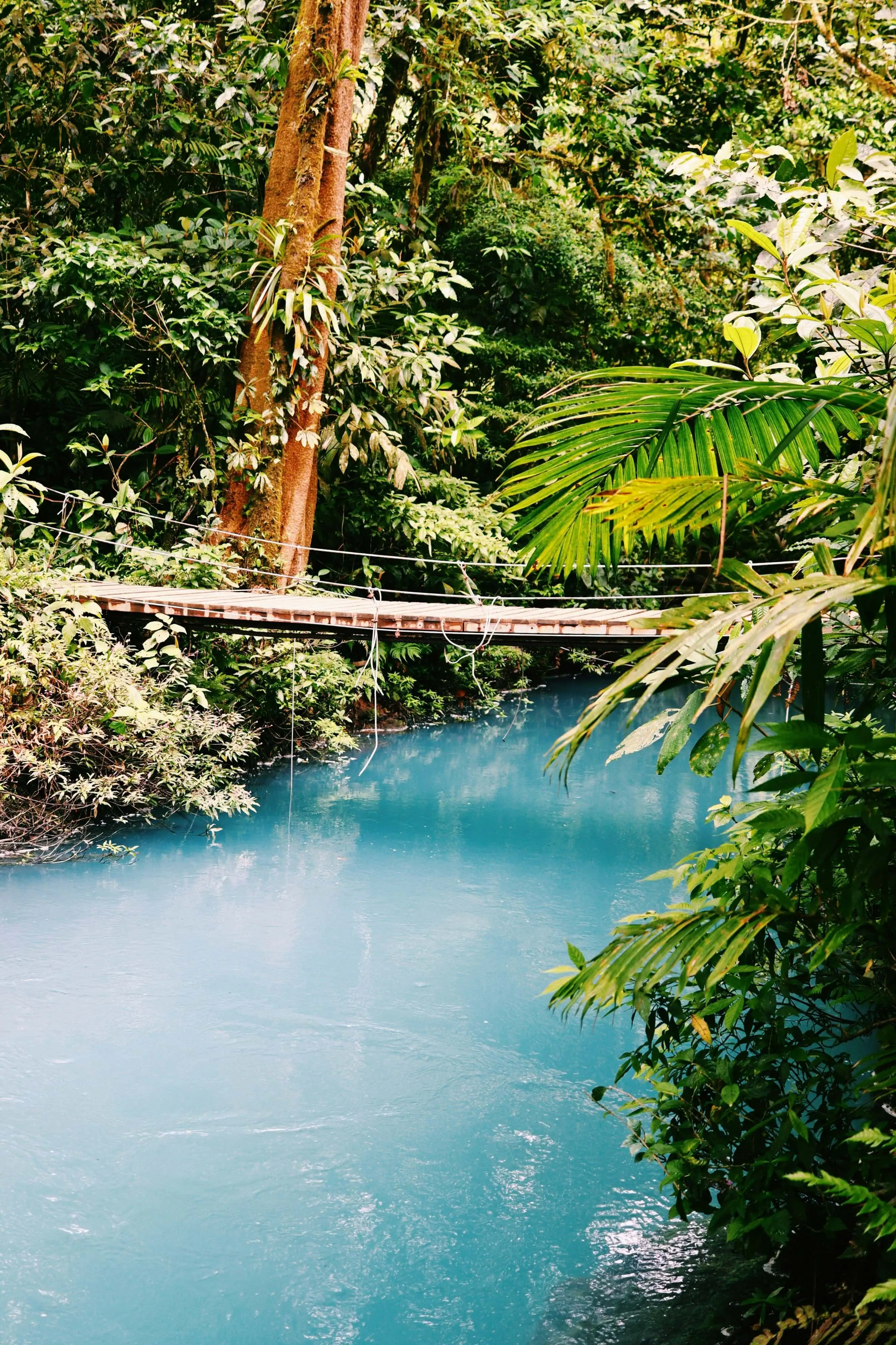 Rio Celeste