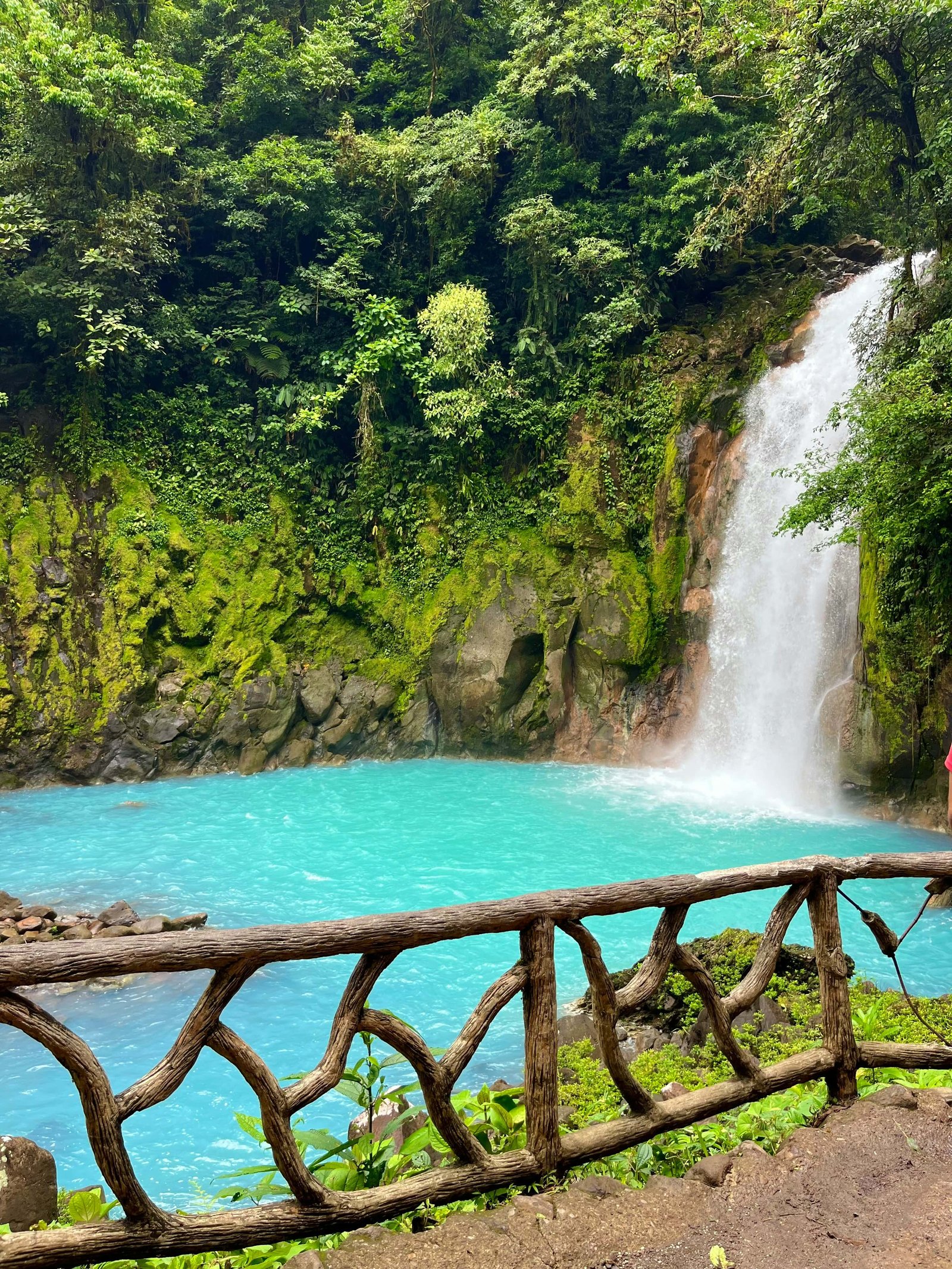 Rio Celeste Costa Rica: Full Guide (2026 Update) 6 Rio Celeste