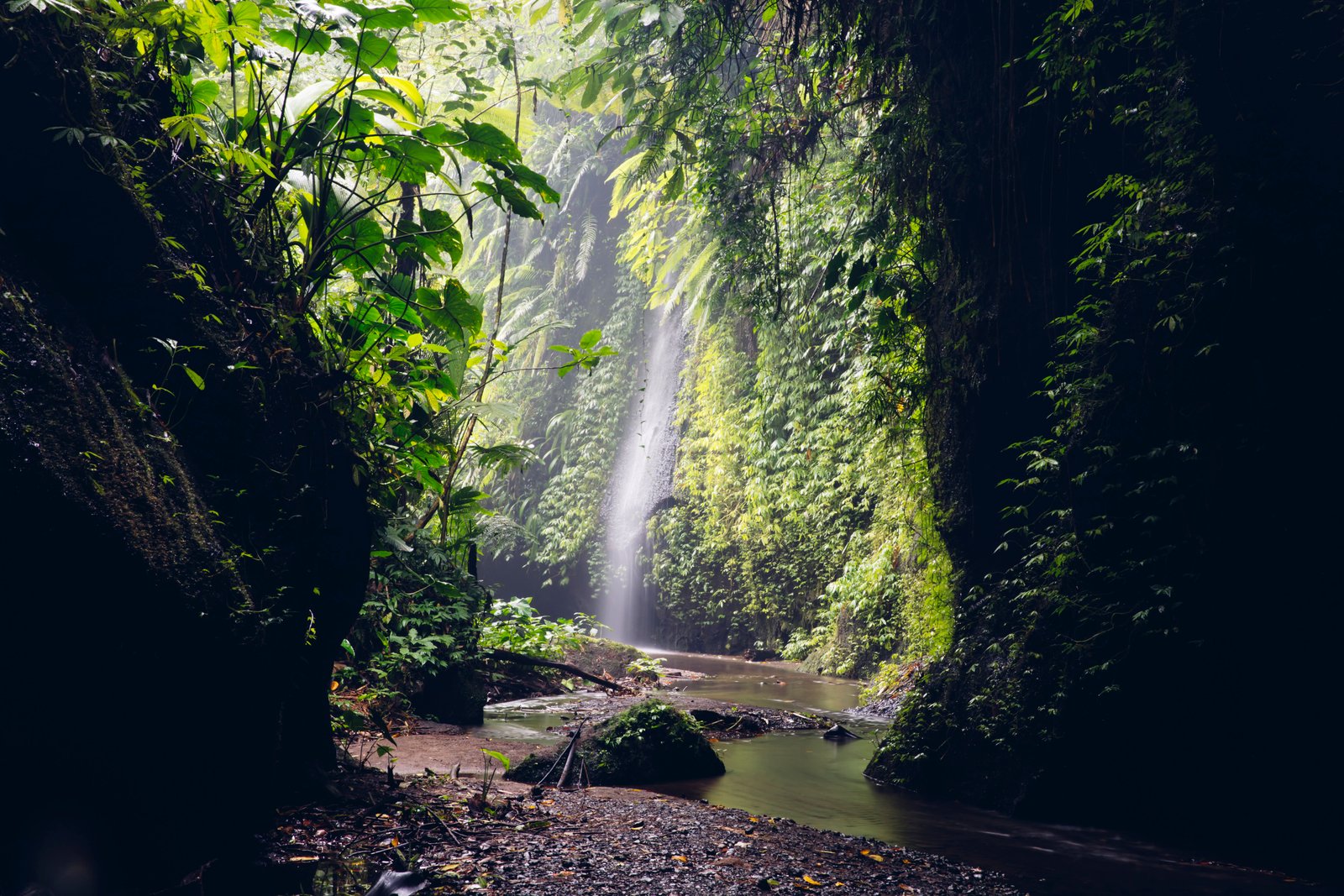 Tukad Cepung Waterfall: Why you MUST Go! (FULL Guide 2026) 3 View at Tukad Cepung waterfall at Bali, Indonesia