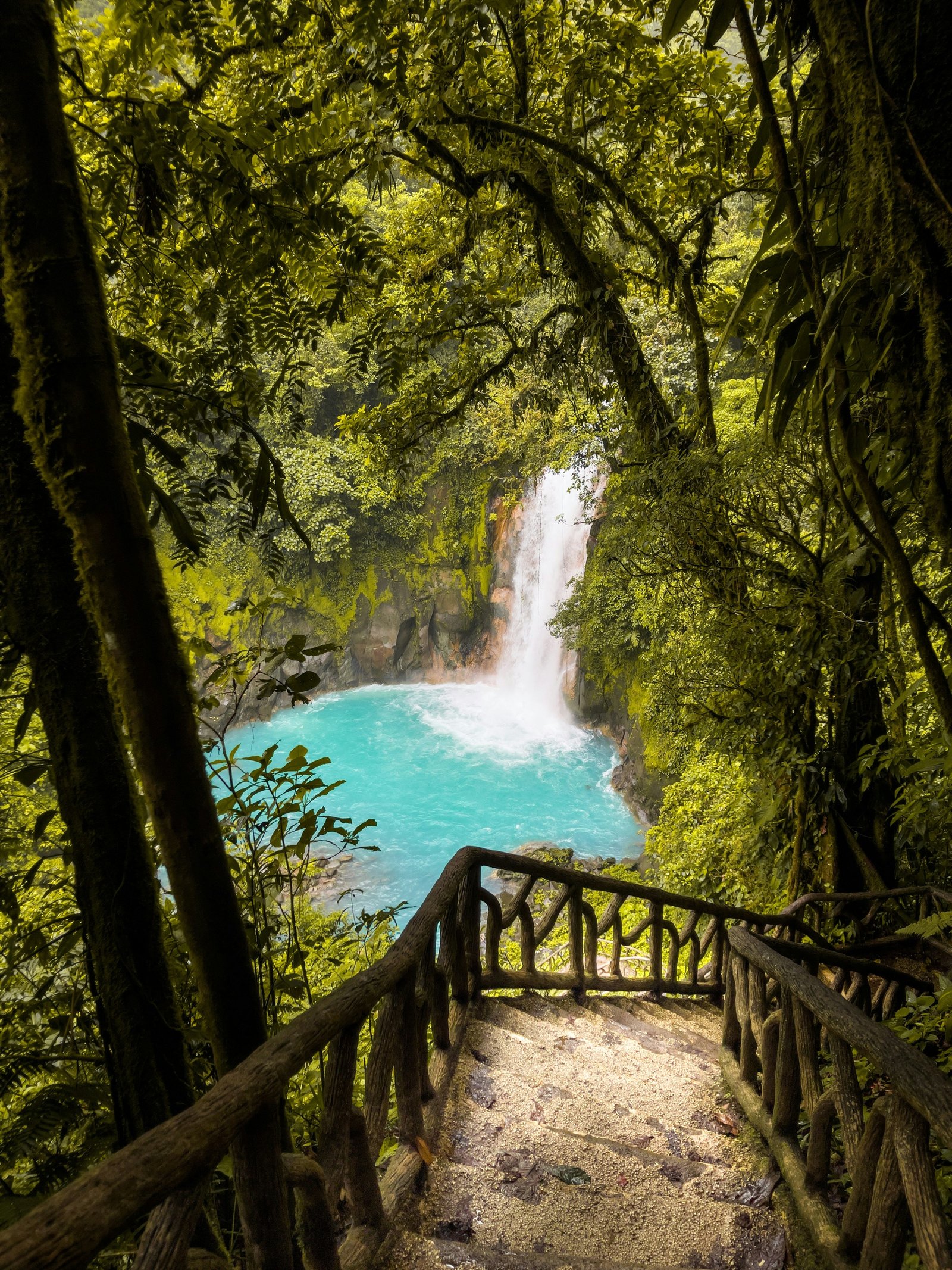 Rio Celeste Costa Rica: Full Guide (2026 Update) 5 Rio celeste stairs leading to it