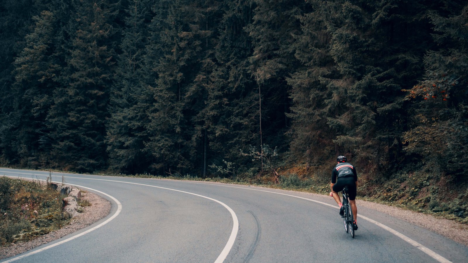 Mont Ventoux in France: The Ultimate Cyclist's Guide (in 2026) 17 Cycling a mountain