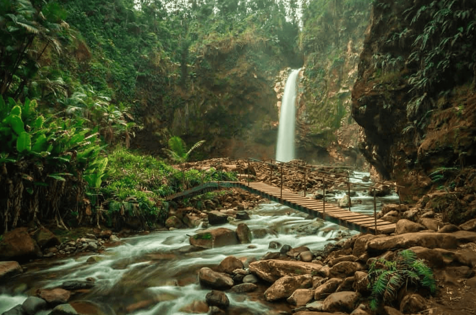 Catarata Rio Agrio, Costa Rica | Hike, Map and Tips for 2026 2 Catarata Rio Agrio