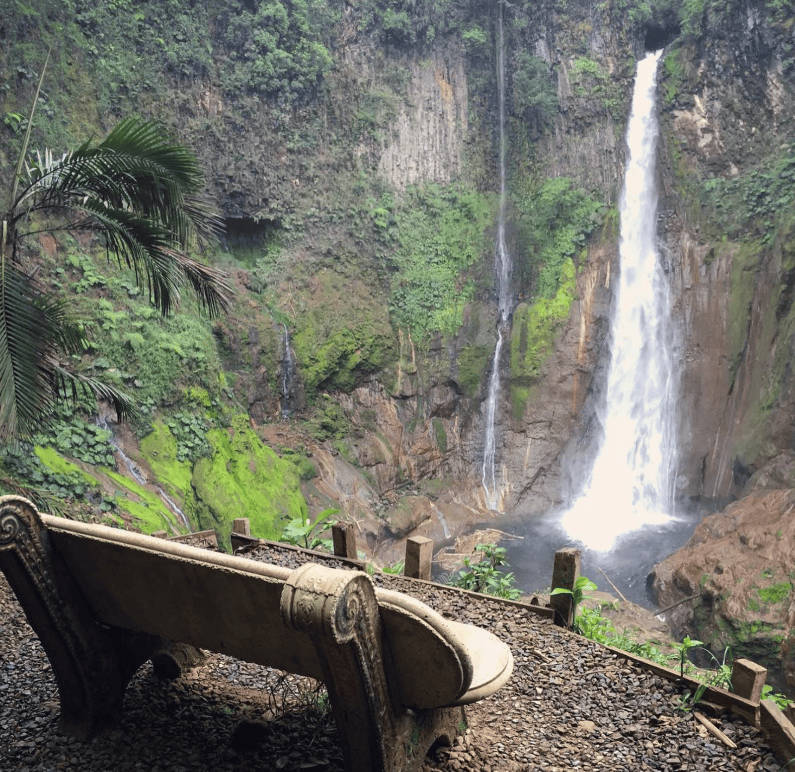 Catarata Rio Agrio, Costa Rica | Hike, Map and Tips for 2026 4 Catarata Rio Agrio
