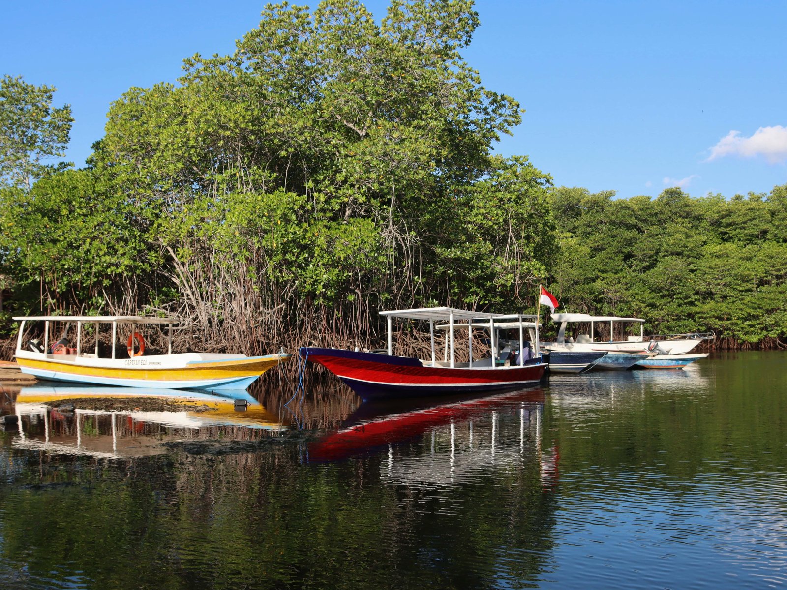 Full Guide to La Pavona | 10 Best Things To Do 10 boat mangrove