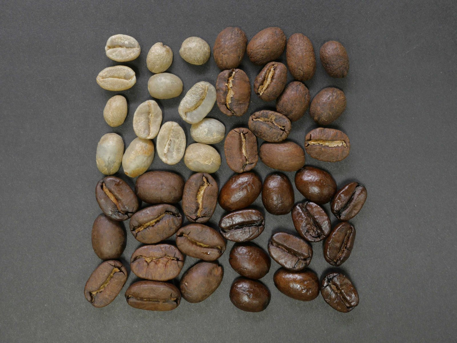 Visit Doka Estate Costa Rica Coffee Tour 4 Different coffee beans roasted