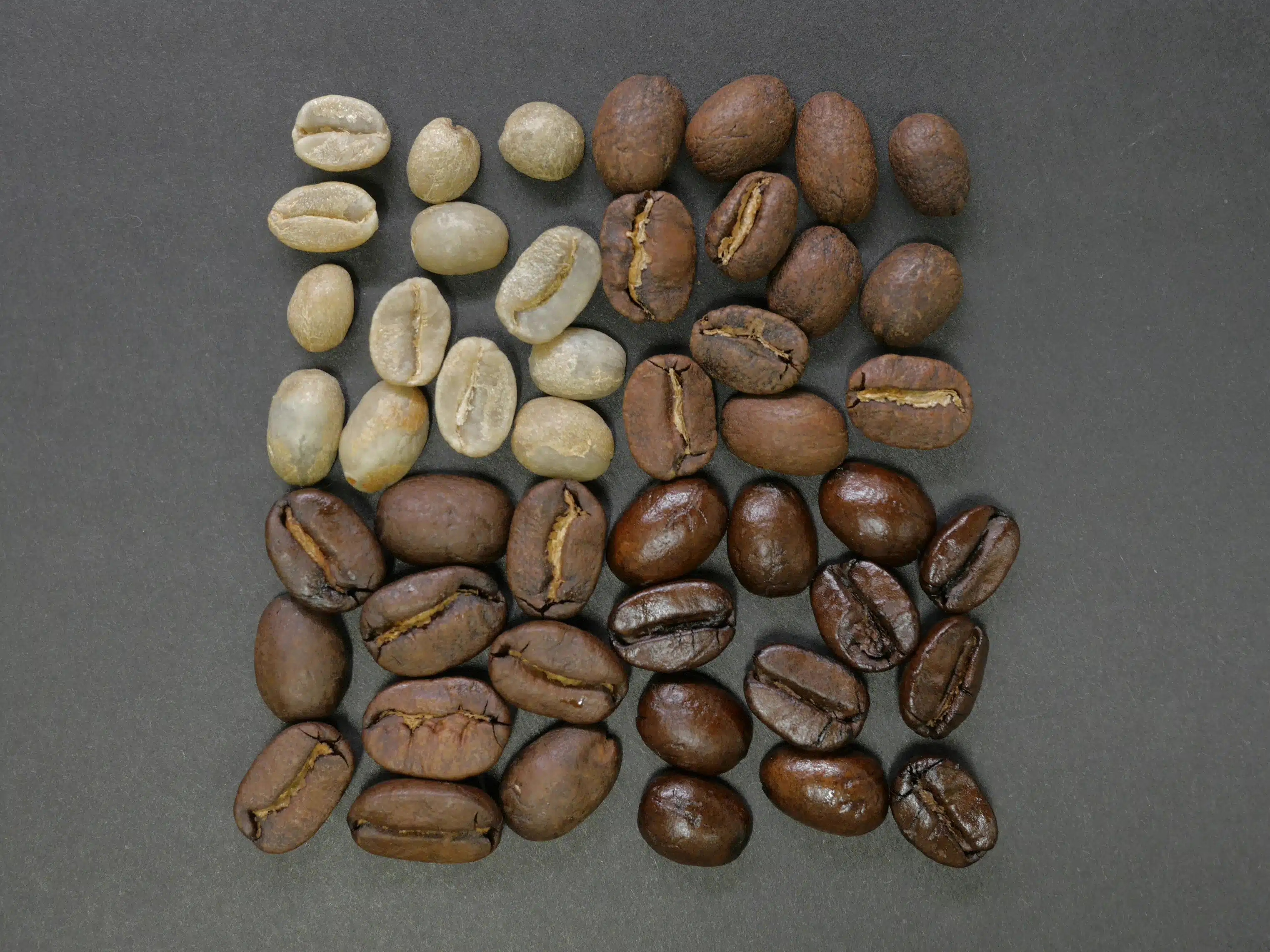 Different coffee beans roasted