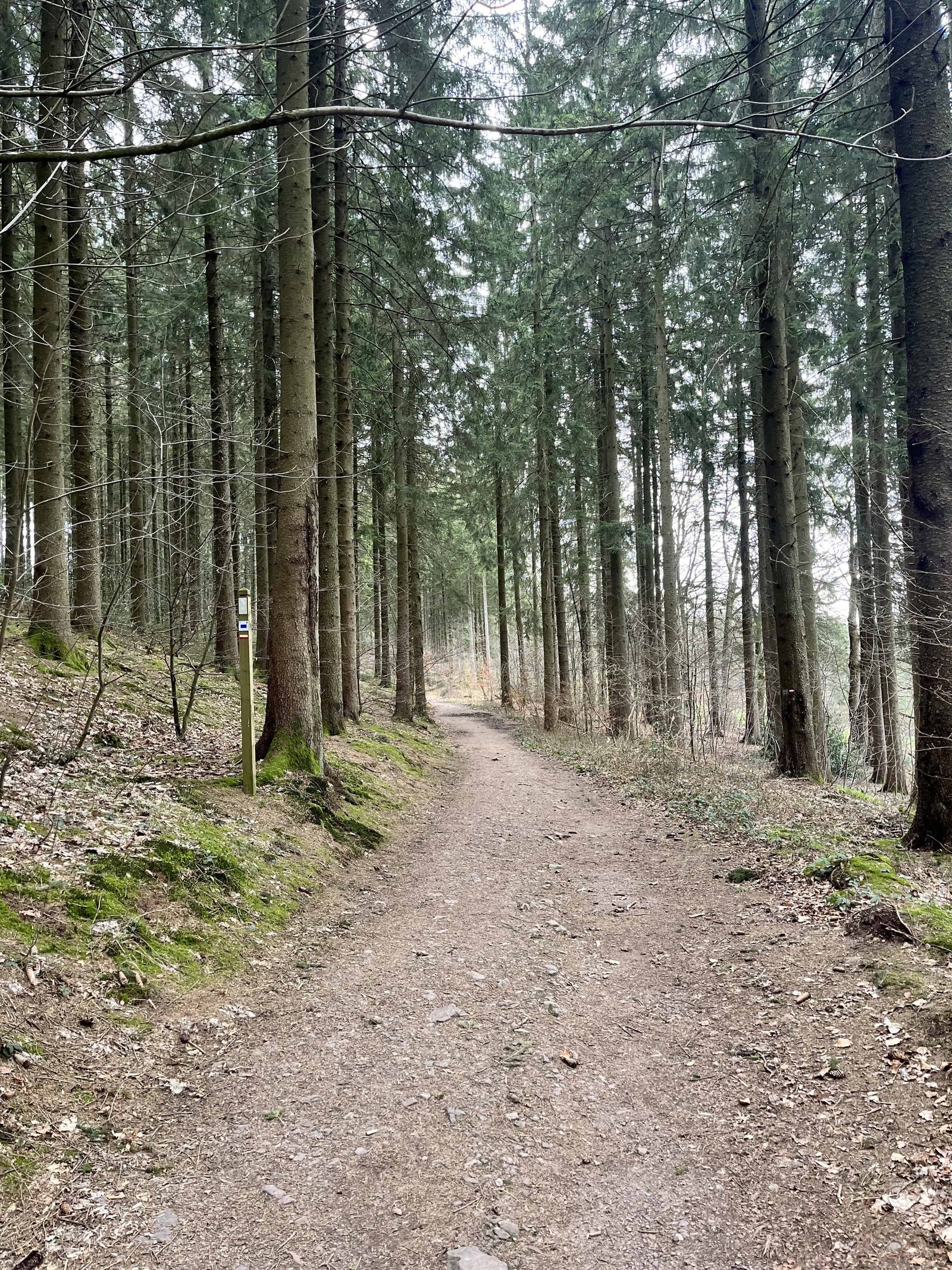 Le Canyon des Trôs Marets, 5km: Review of our Hike in Malmedy 2 trôs marets