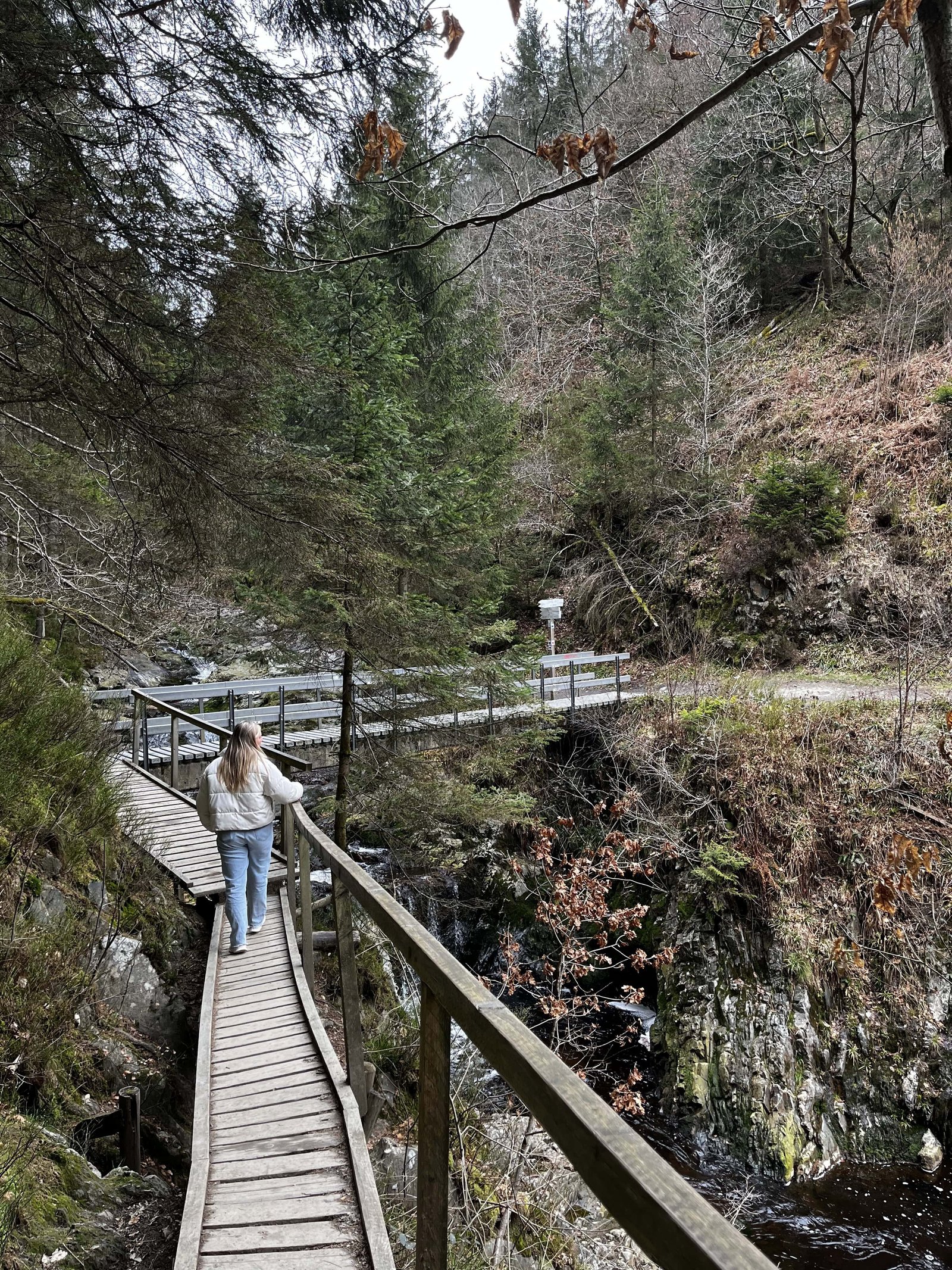 Le Canyon des Trôs Marets, 5km: Review of our Hike in Malmedy 3 tros marets valley